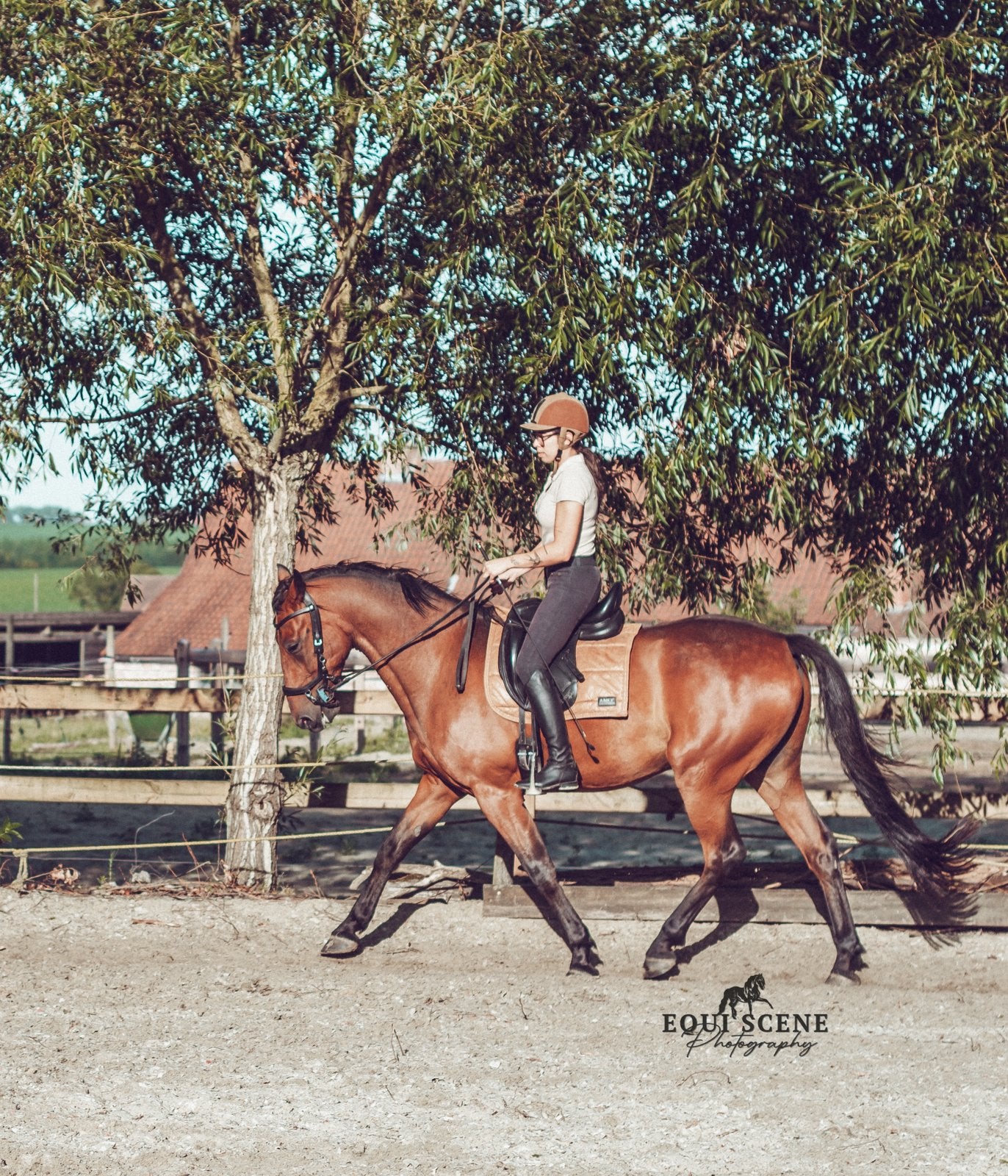 Stalhulp/ Groom, Dieren en Toebehoren