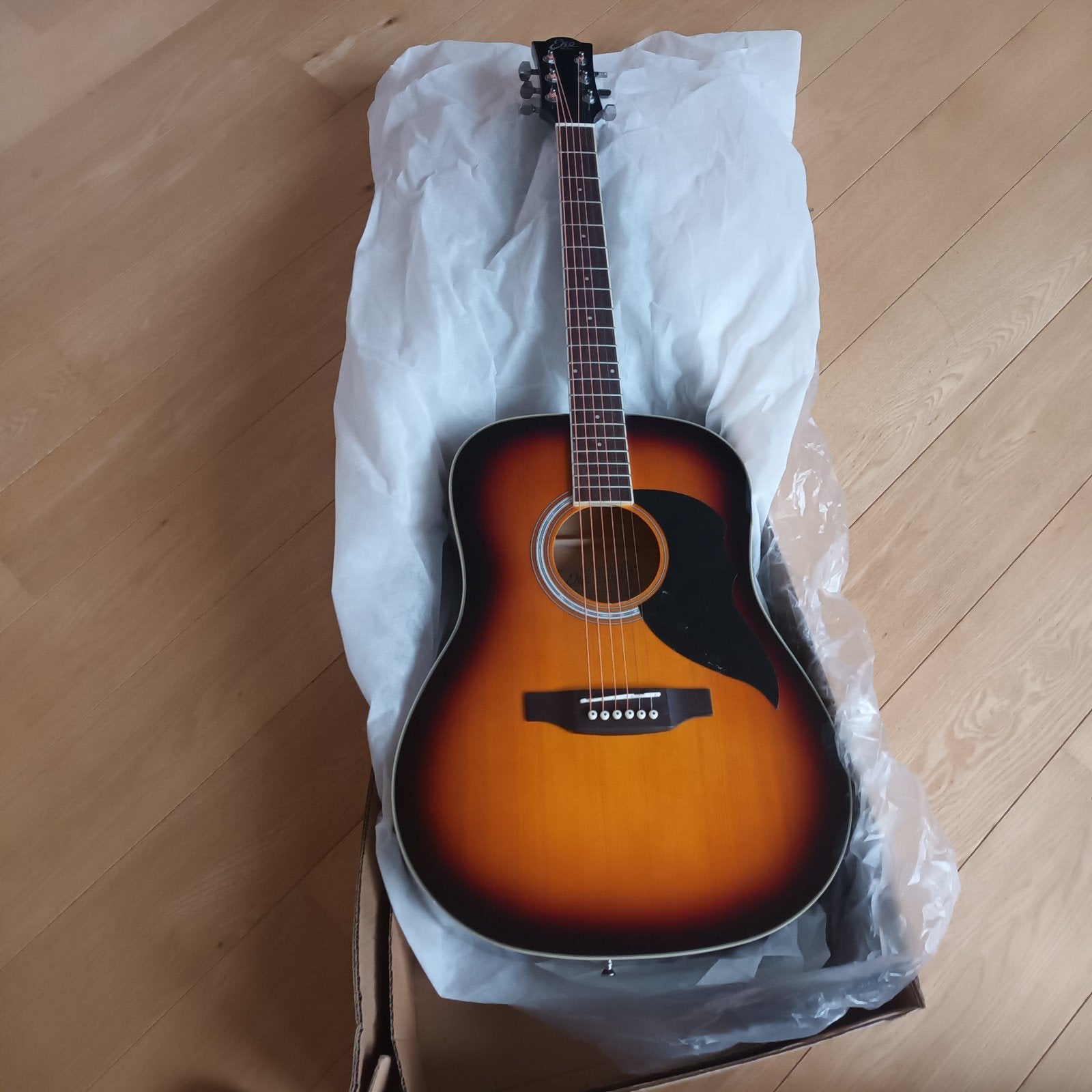 Guitare classique Eko, Enlèvement, Neuf, Guitare classique ou espagnole