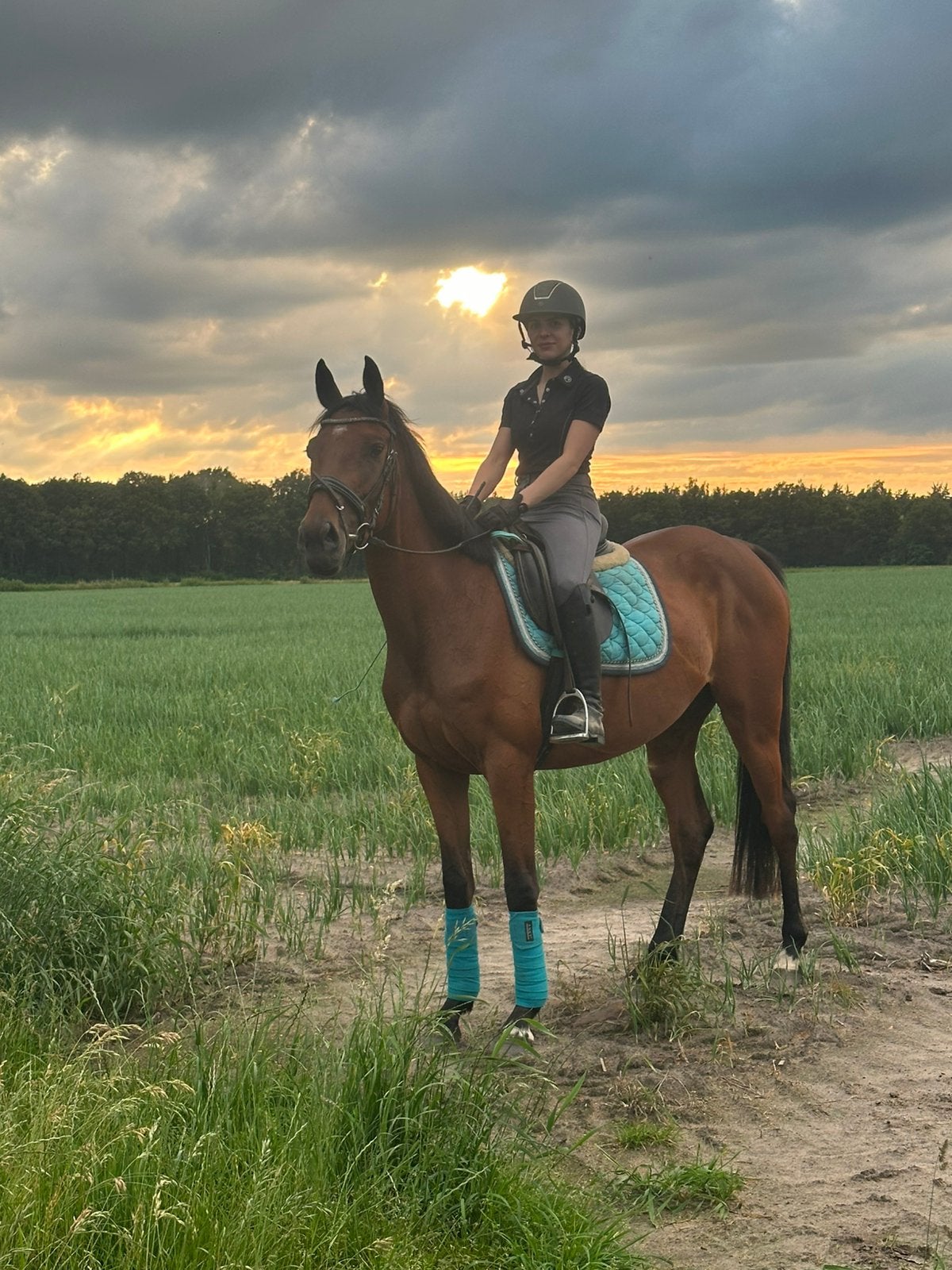 5 jarige recreatie merrie, Dieren en Toebehoren, Pony's, Merrie, E pony (1.48m - 1.57m), Recreatiepony, 3 tot 6 jaar