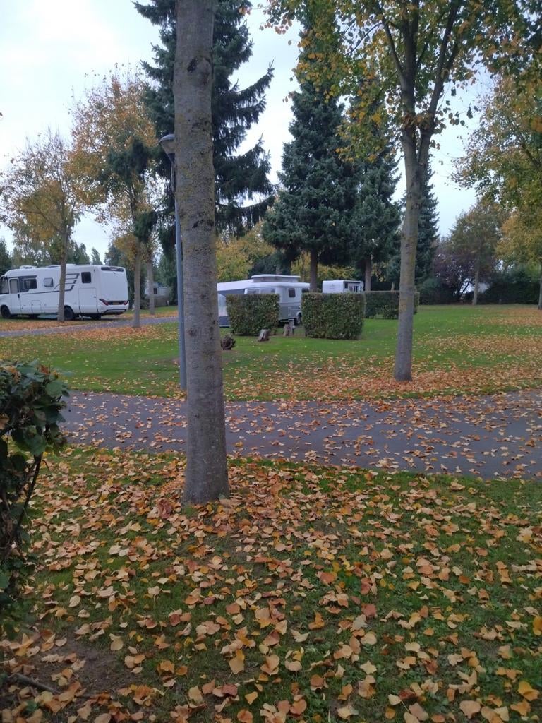 Cavalier 420 de luxe Antares ambiance, Caravans en Kamperen, Luifel, Treinzit, Particulier, 5 tot 6 meter