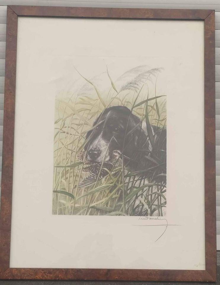 gravure chien avec proie signe leon danchin, Antiek en Kunst, Kunst | Etsen en Gravures, Gravure, Ophalen of Verzenden