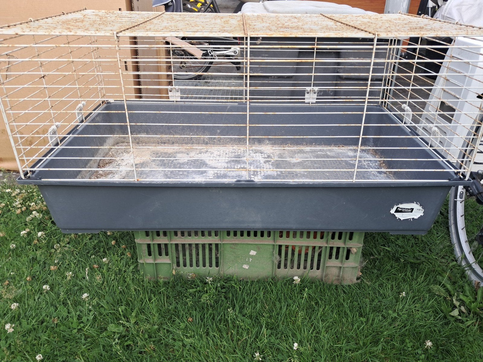Cage gratuit, Enlèvement