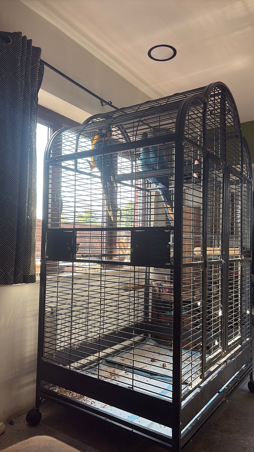 Cage à perroquet ara, Enlèvement, Comme neuf