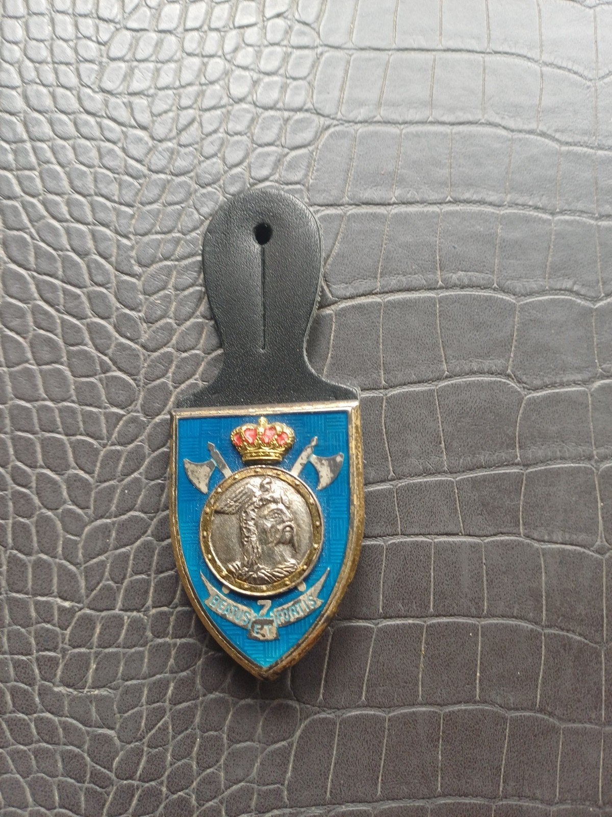 Cintre de poitrine, Collections, Enlèvement ou Envoi