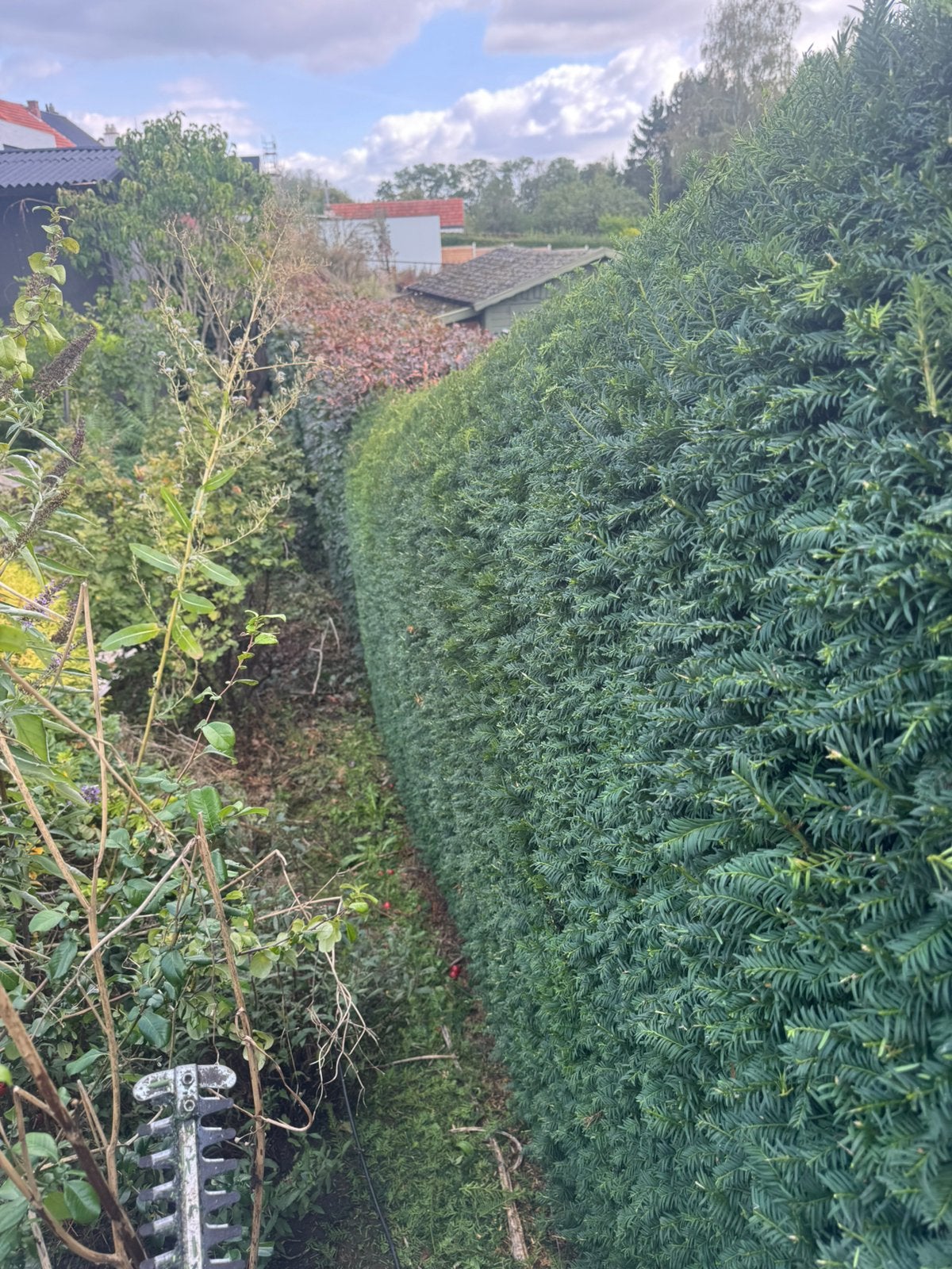 Klusjesman gezocht? Tuinwerken, gras maaien & vervoer, Vacatures