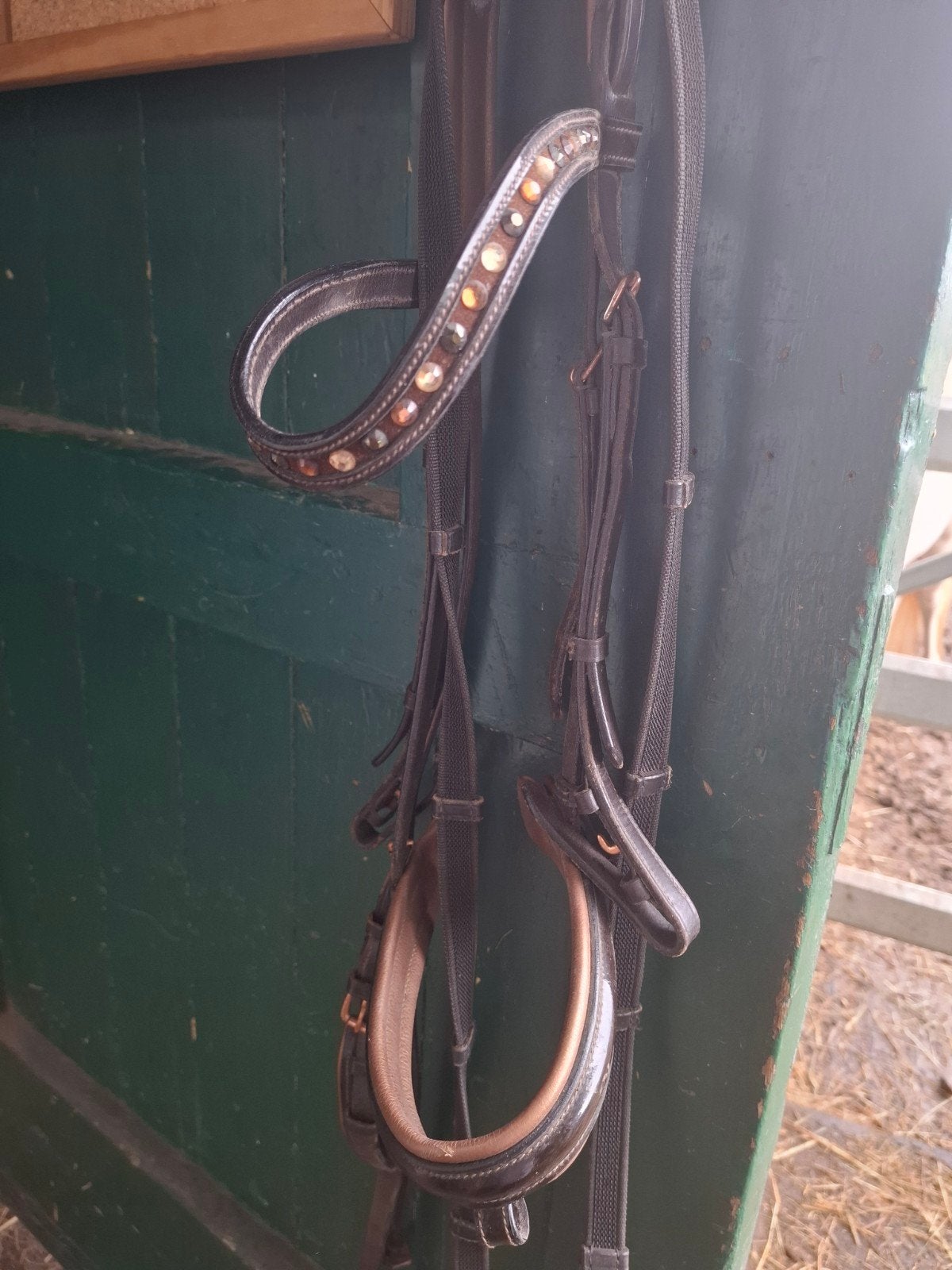 hoofdstel donkerbruin, Dieren en Toebehoren, Ophalen, Hoofdstel, Cob