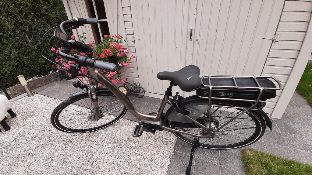 E-bike damesfiets, Ophalen, 47 tot 50 cm, Giant, Schijfrem