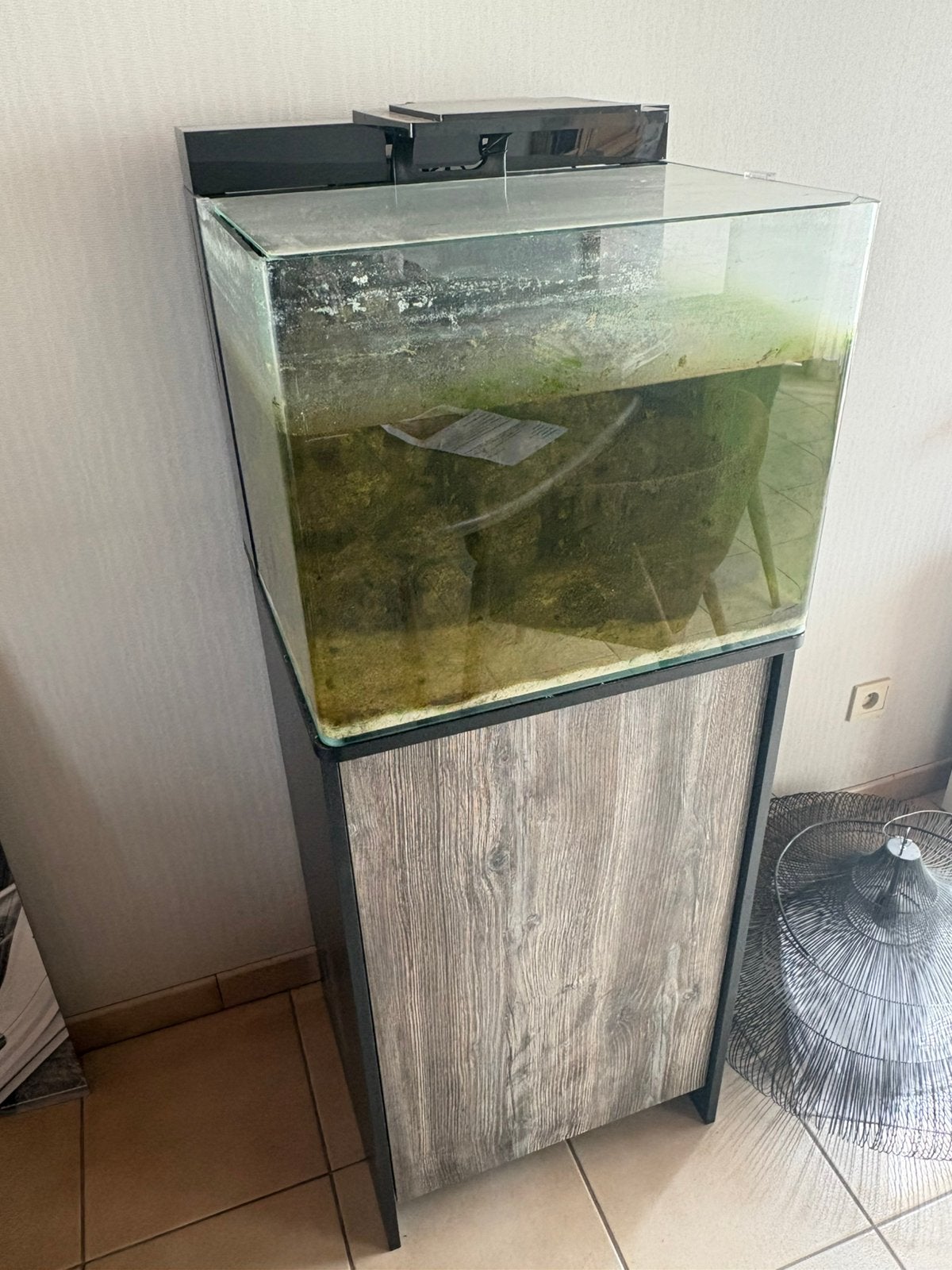 Zoutwater aquarium, Enlèvement, Comme neuf