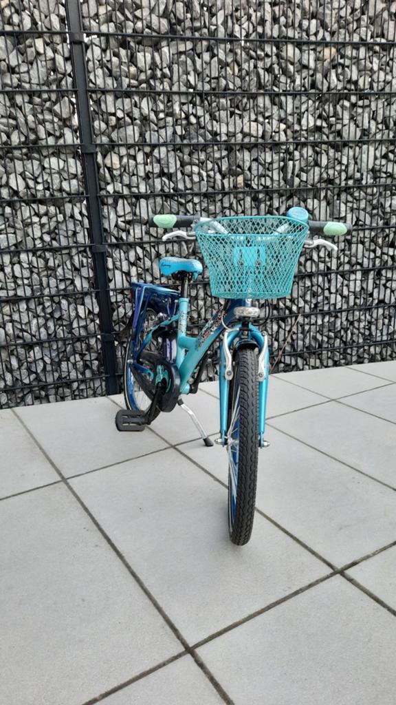 Loekie kinderfiets 20inch, Fietsen en Brommers, Ophalen, Gebruikt, 20 inch, Loeki Romanz