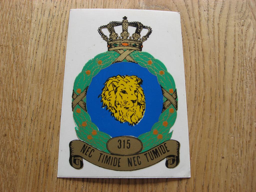 315 Nec Timide Nec Tumide Luchtmacht Vintage Sticker, Ophalen of Verzenden, Nieuw, Overige typen