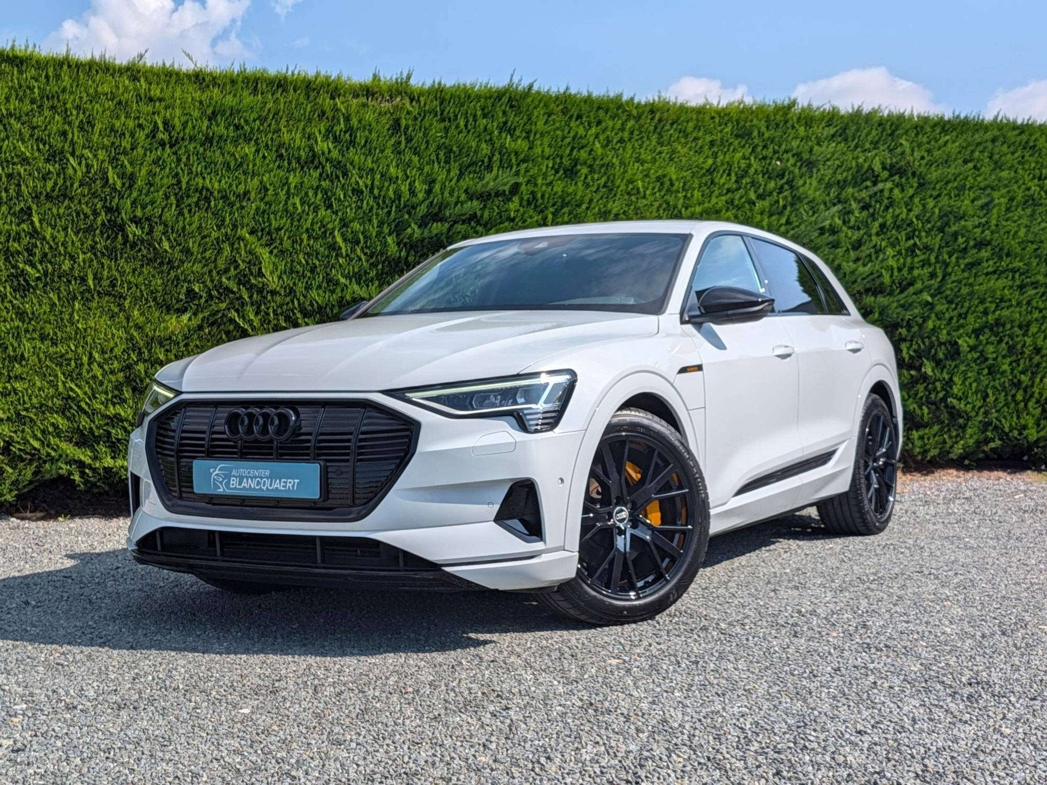 Audi Q8 e-tron (Q8) Sportstuur - gekleurde remklauwen - 21", 476 km, Achat, 408 ch, Entreprise