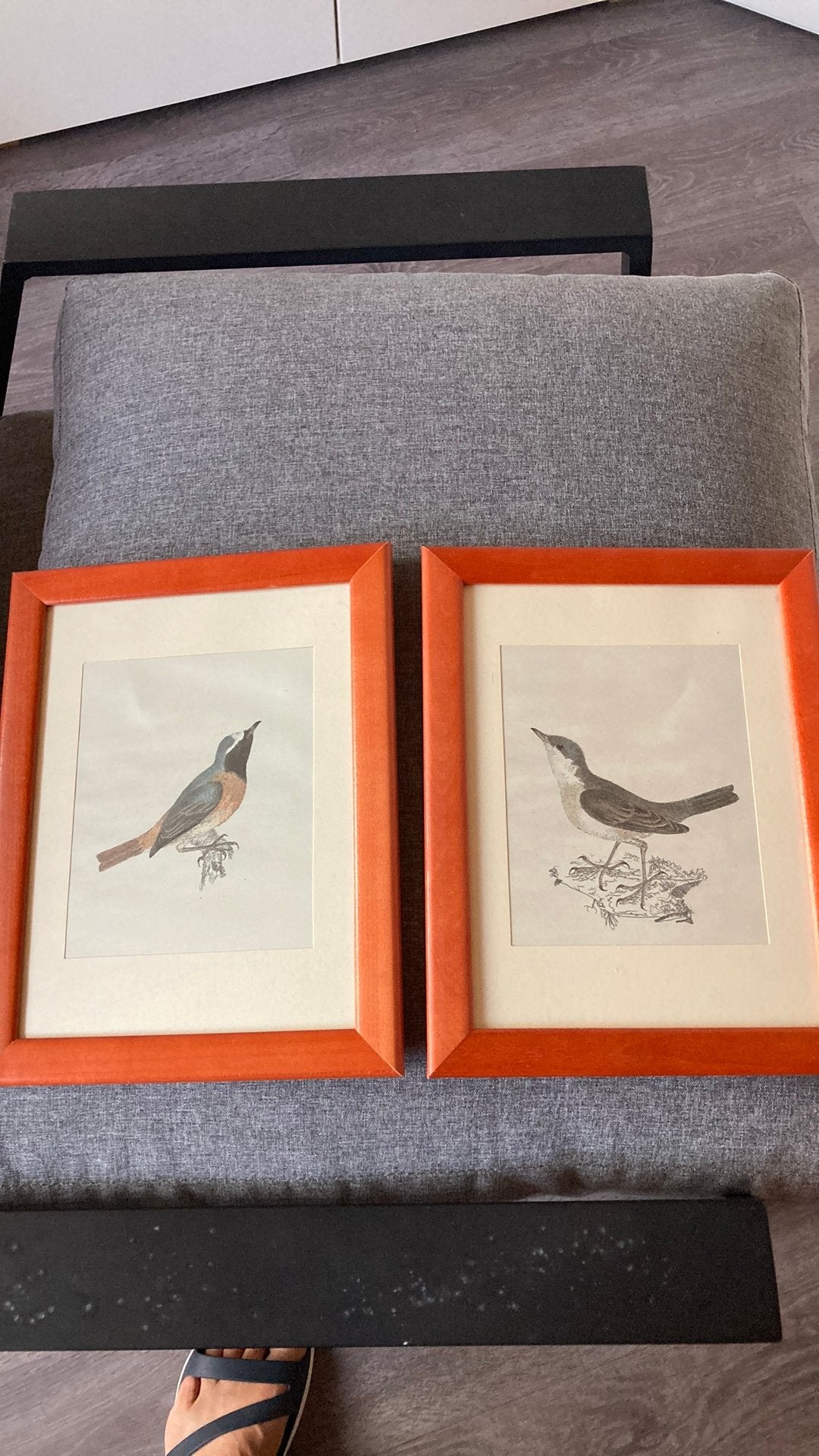 2 pentekeningen in kader, Ophalen, Bruin, Zo goed als nieuw, Fotolijst