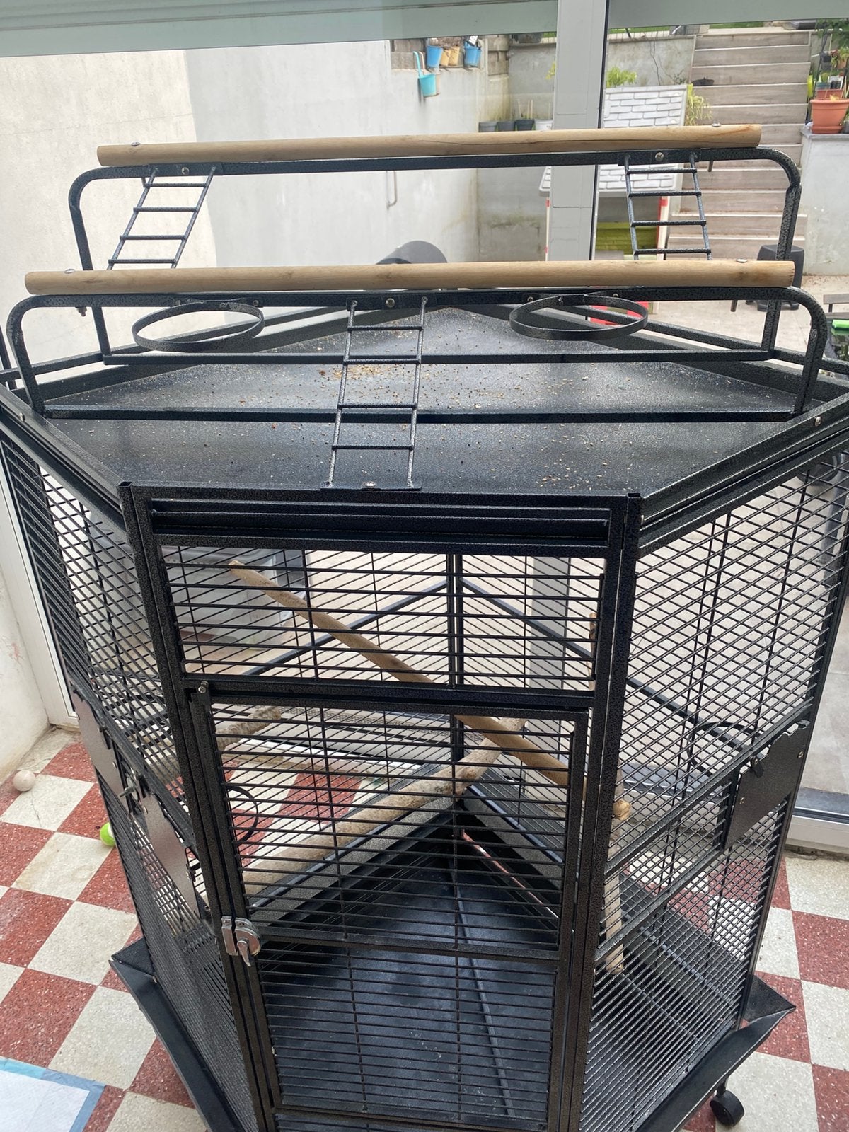 Perroquet en cage avec un nouveau, Enlèvement, Comme neuf