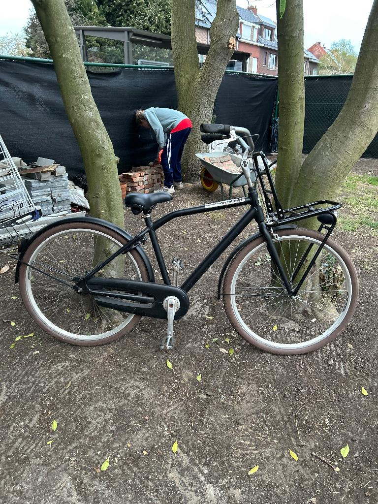 Stadsfiets Volwassenen, Ophalen, Minder dan 10 versnellingen, Gebruikt, Overige maten