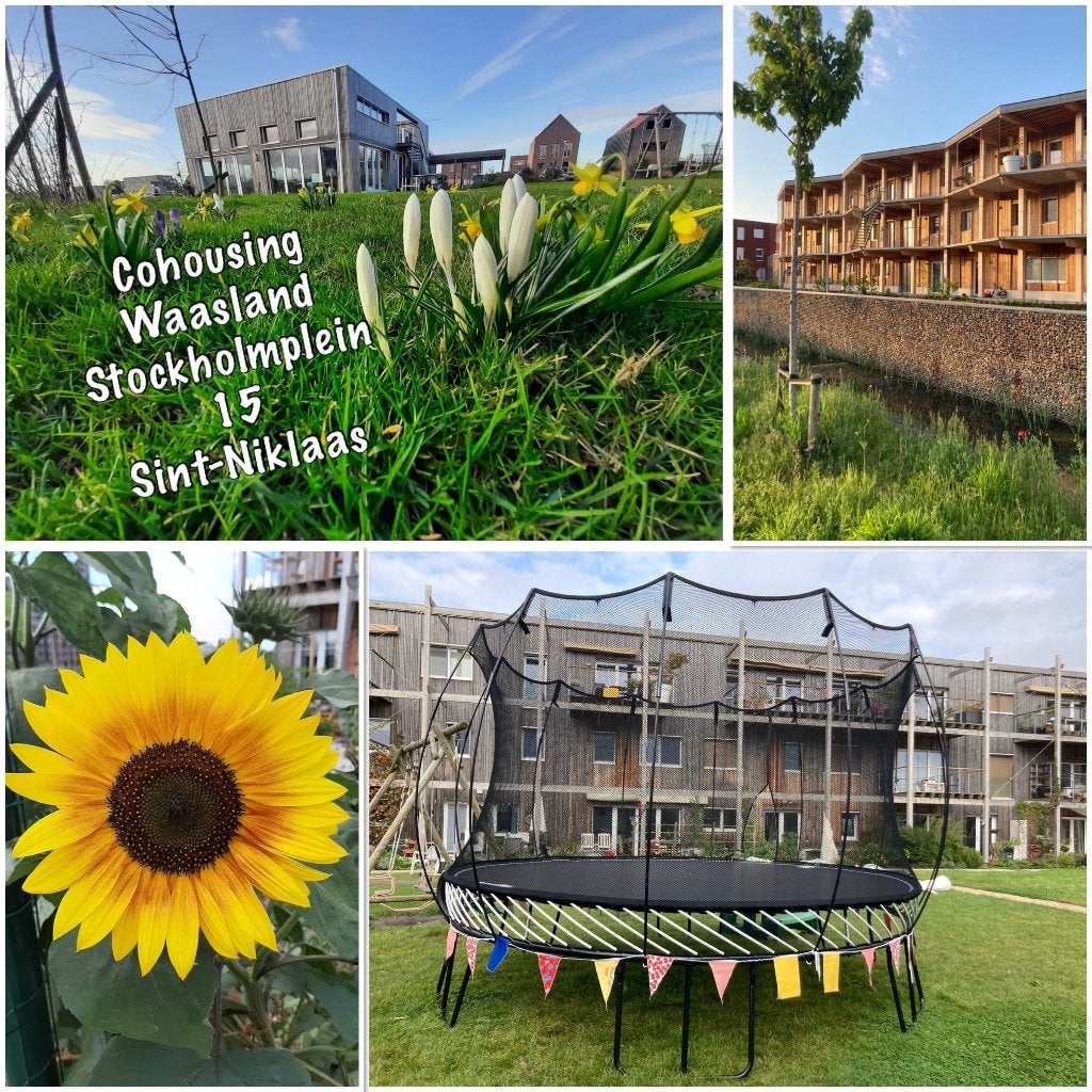 Appartement 3 slpk in Cohousing Waasland, 50 m² of meer, Provincie Oost-Vlaanderen