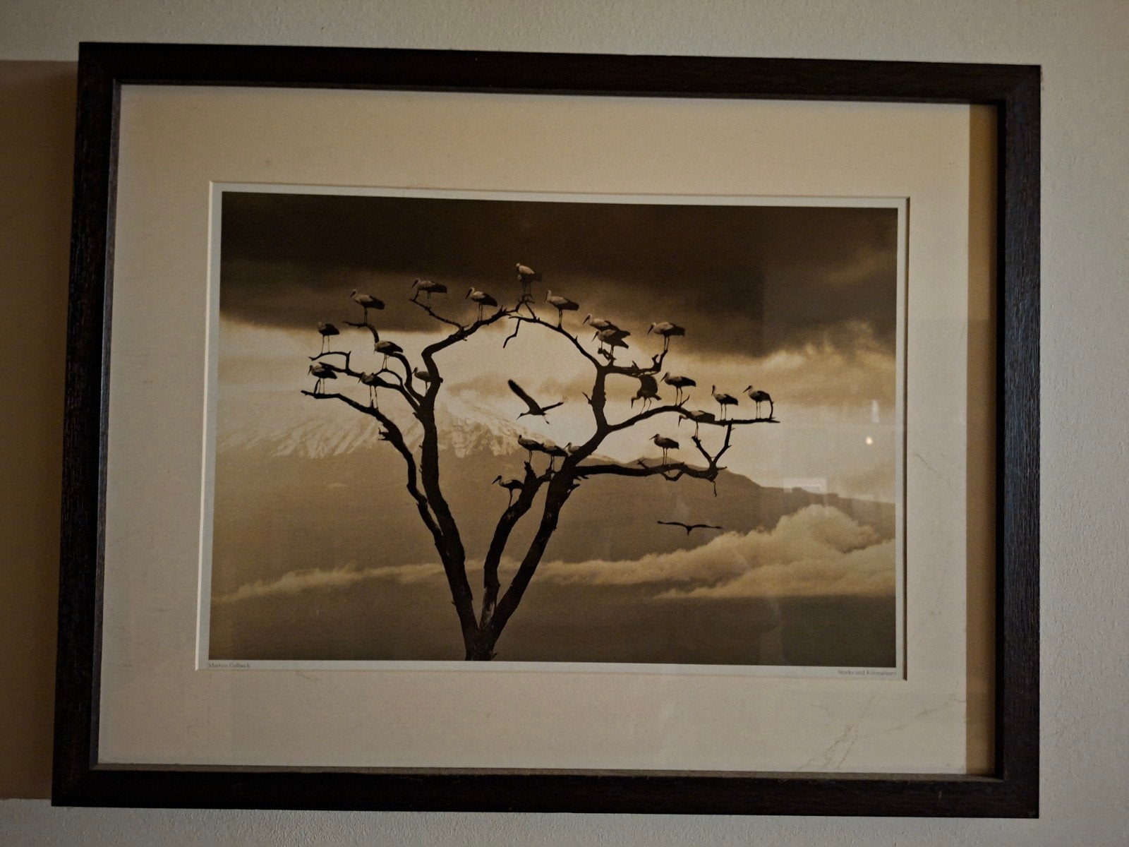 Martyn Colkeck, Enlèvement, Impression, Animaux, Encadré