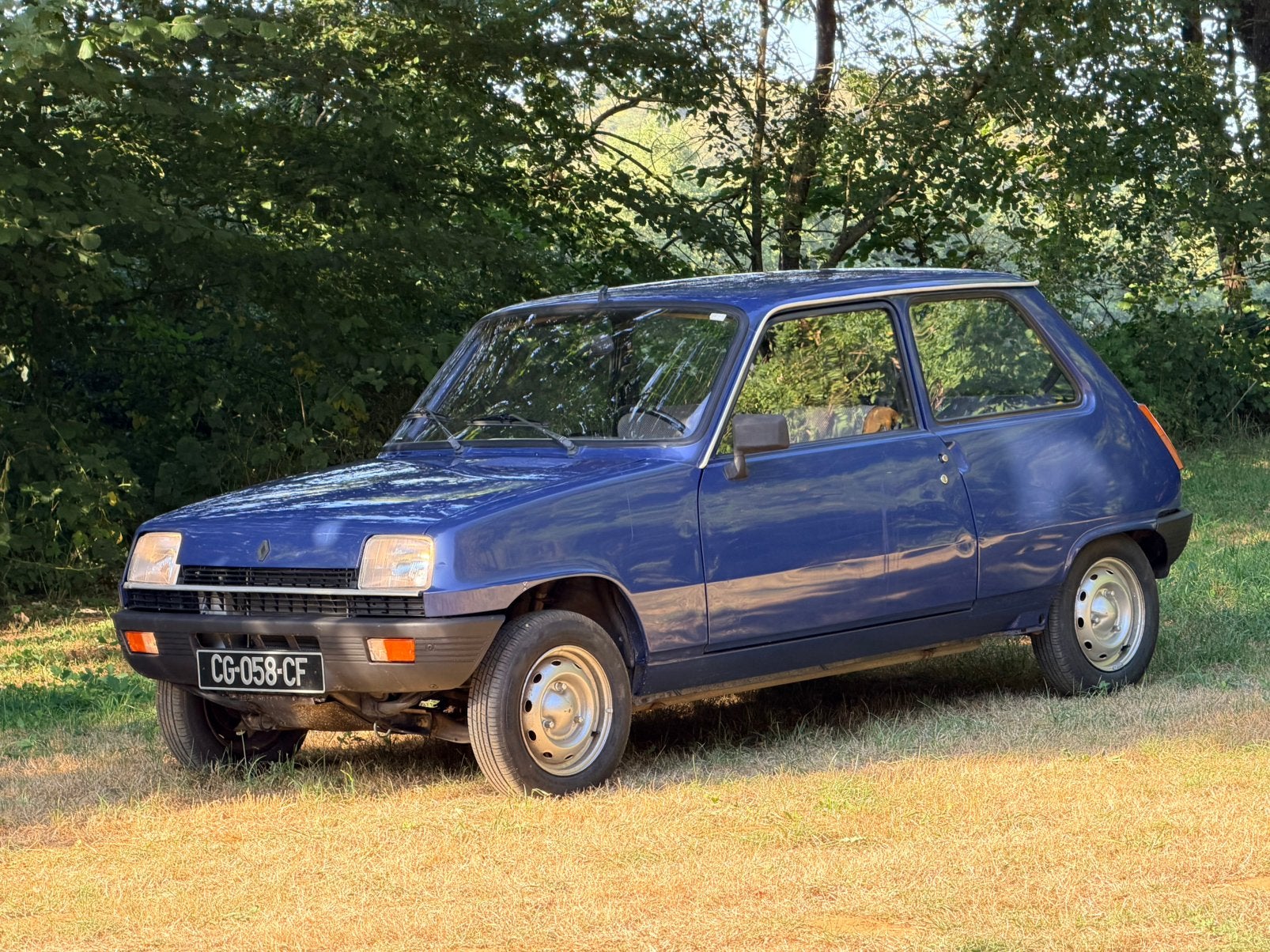 À VENDRE – RENAULT 5 BASE – R5 – 1983 –, Achat, Particulier, Essence