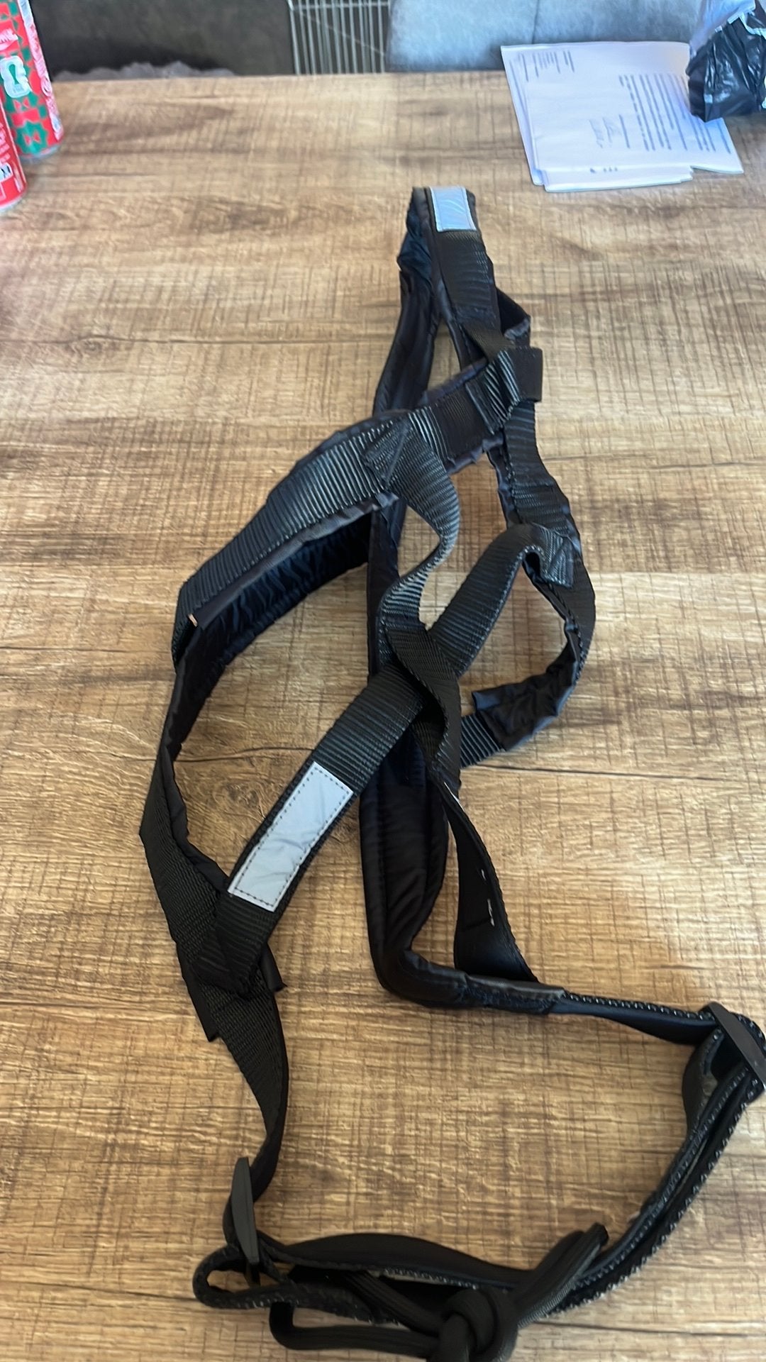 Harnais canicross, Animaux & Accessoires, Enlèvement, Neuf