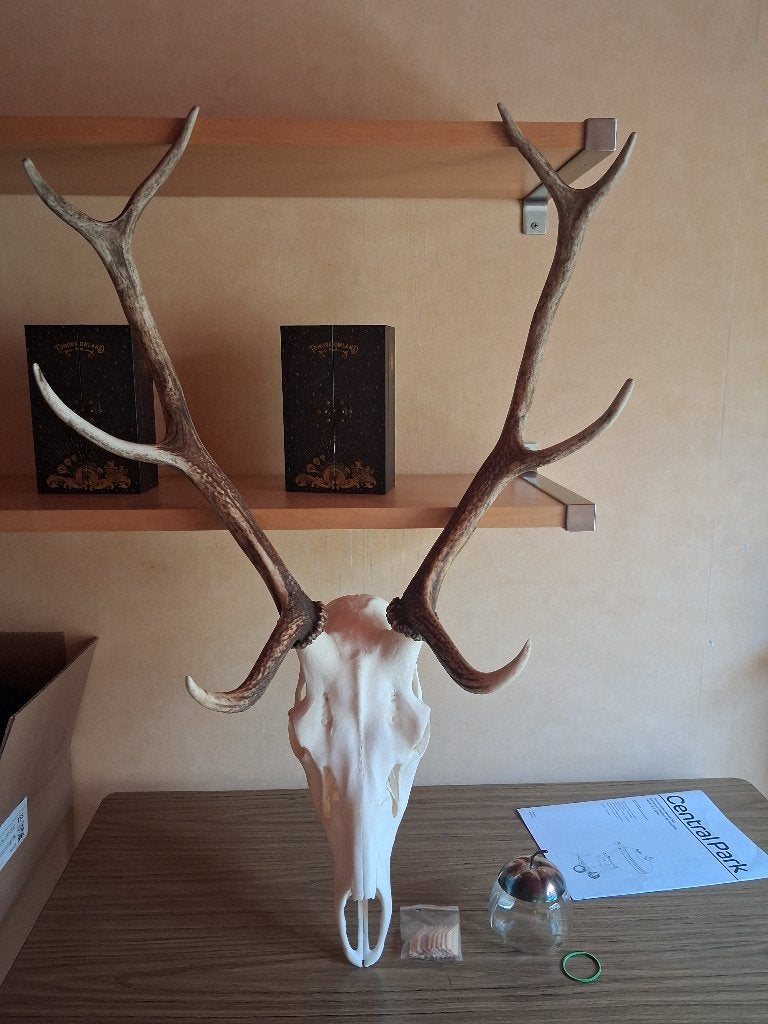 Hertegewei, Antiek en Kunst, Curiosa en Brocante, Ophalen