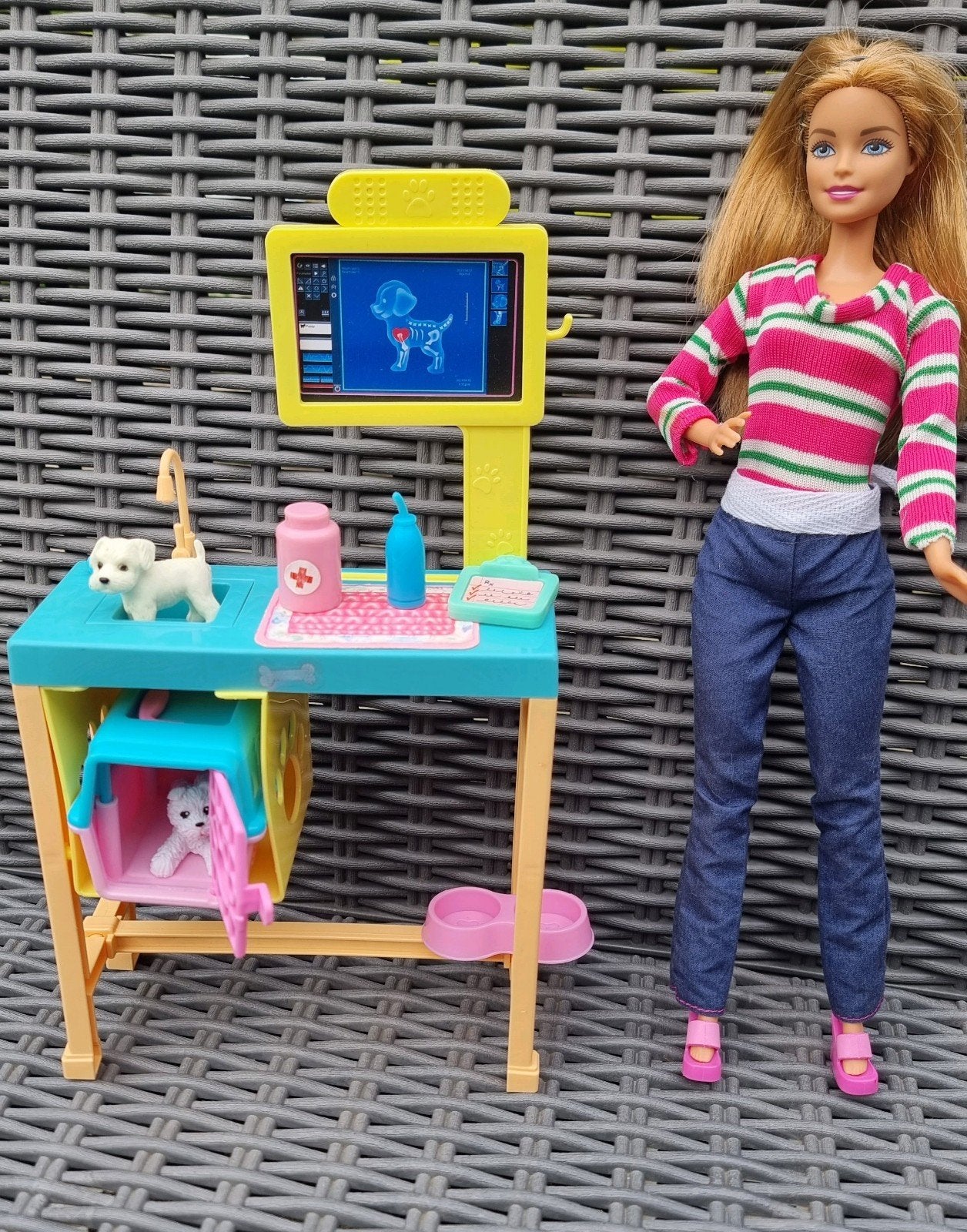 Centre vétérinaire barbies, Enlèvement, Barbie