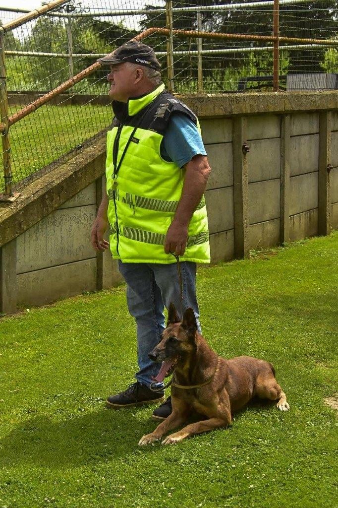 Mechelse herder afgerichte bewakingshond & verdedigingshond, Dieren en Toebehoren, Honden | Herdershonden en Veedrijvers, België