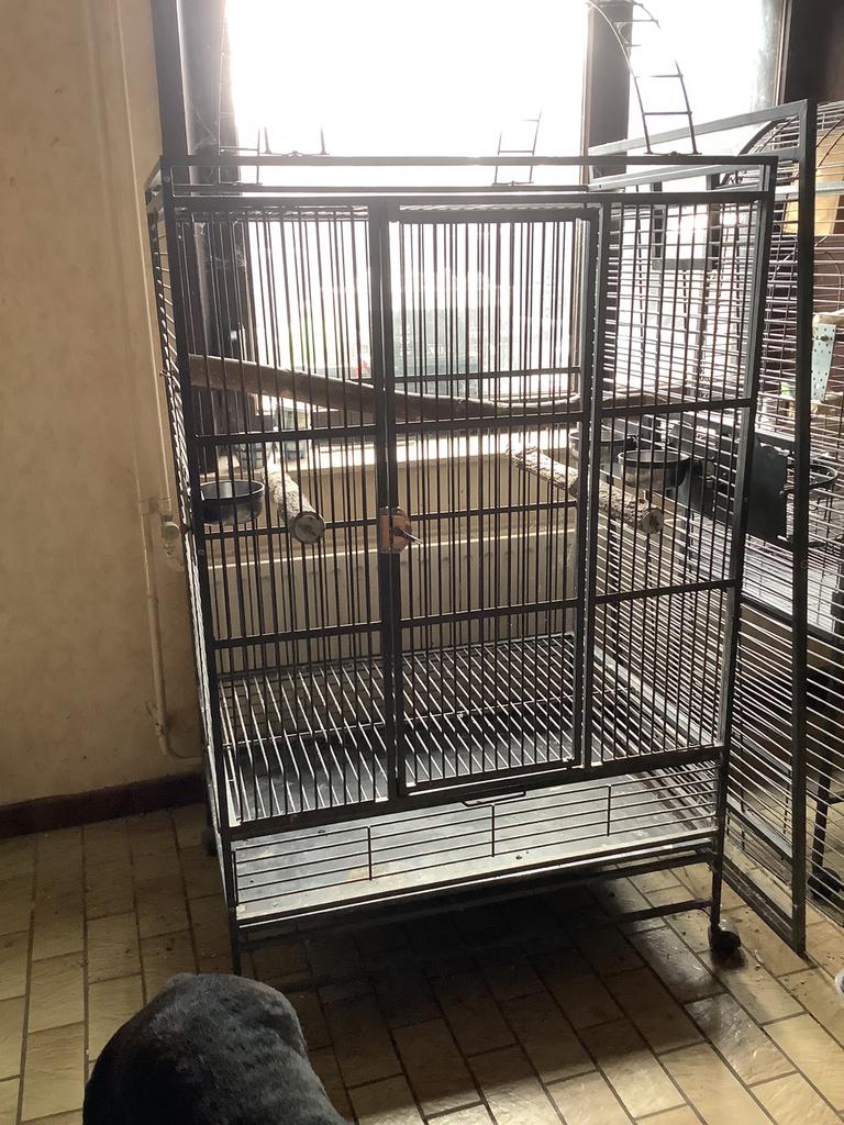 Papegaaien kooi, Dieren en Toebehoren, Ophalen, Gebruikt