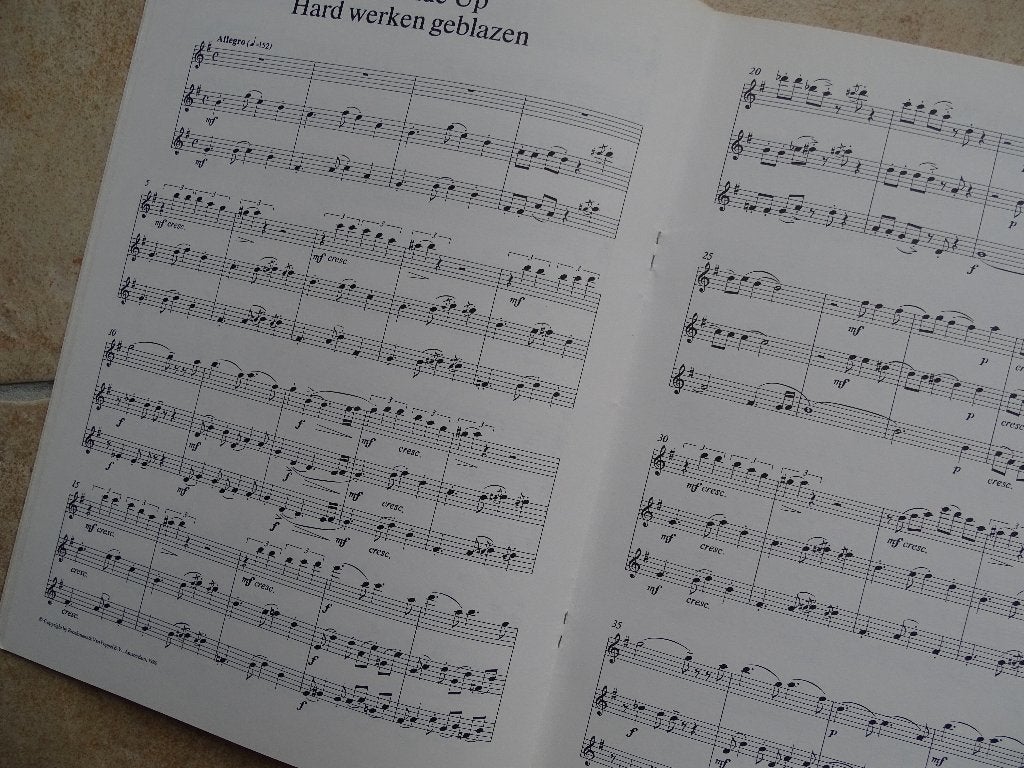 Bladmuziek 3 of meer fluiten/altblokfluiten 10 x, Klassiek, Overige soorten, Ophalen of Verzenden, Zo goed als nieuw