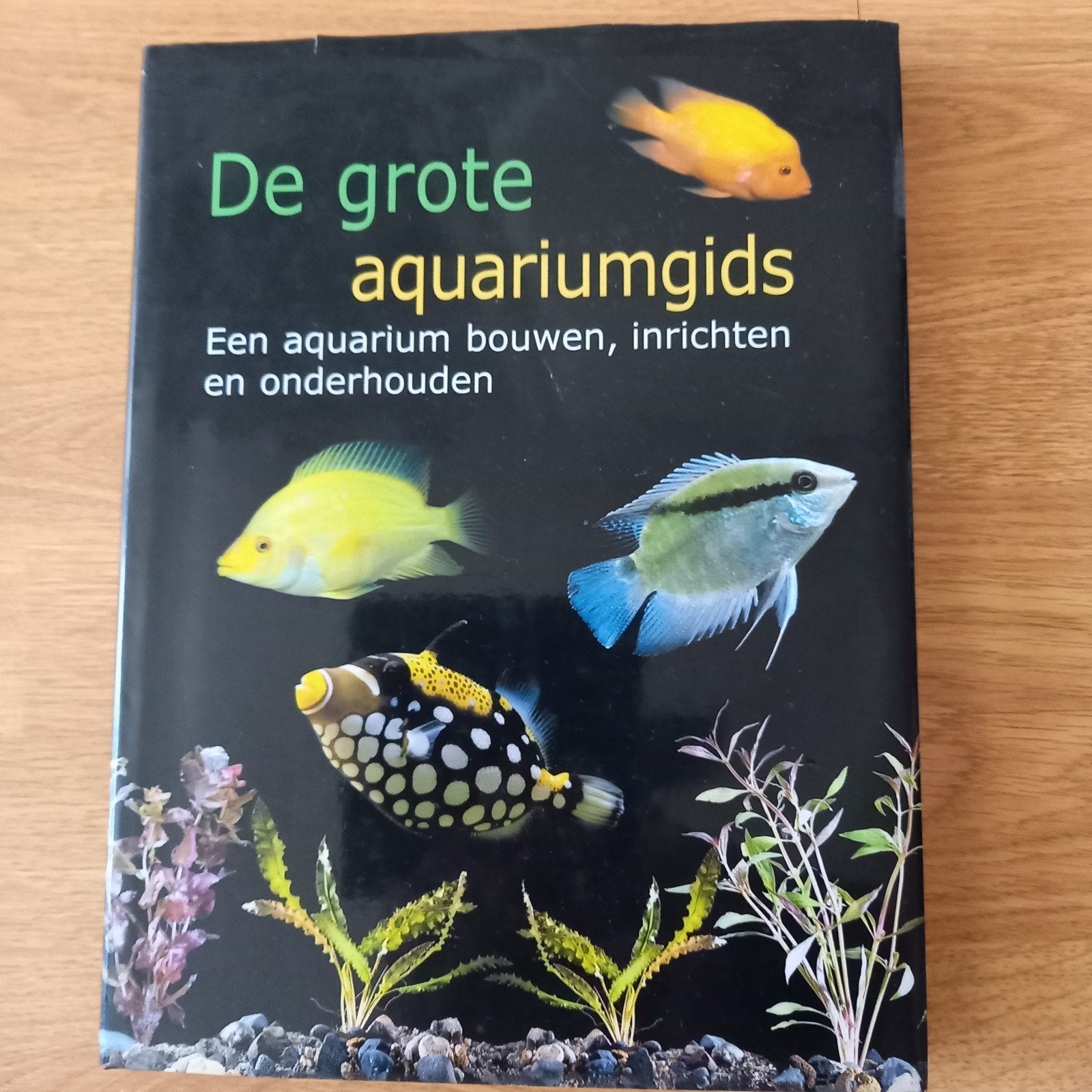 DE GROTE AQUARIUMGIDS, Ophalen of Verzenden, Nieuw