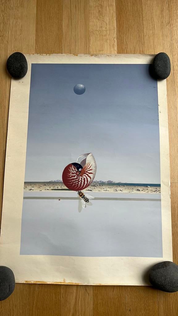 Poster met schilderijen van Generations, Ophalen, Zo goed als nieuw