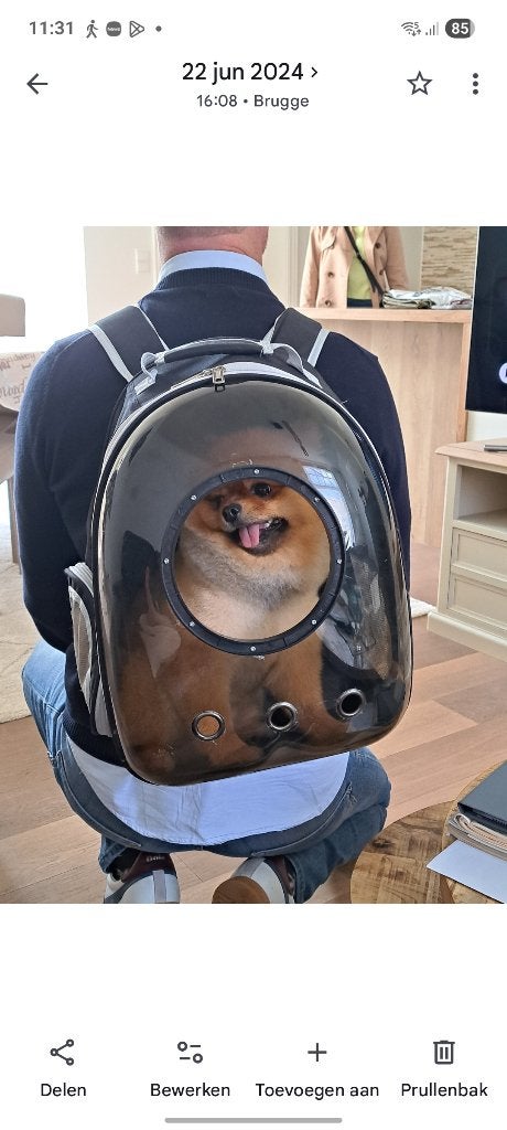 RUGZAK HOND, Ophalen, Zo goed als nieuw