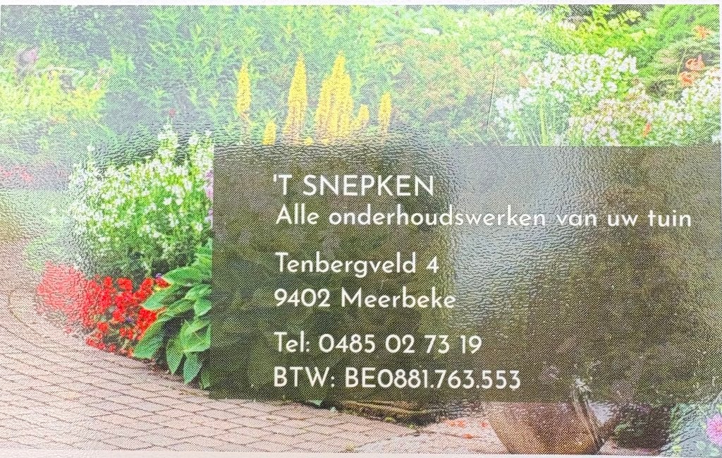 Betaalbare tuinman, Diensten en Vakmensen, Tuinonderhoud of Snoeiwerk