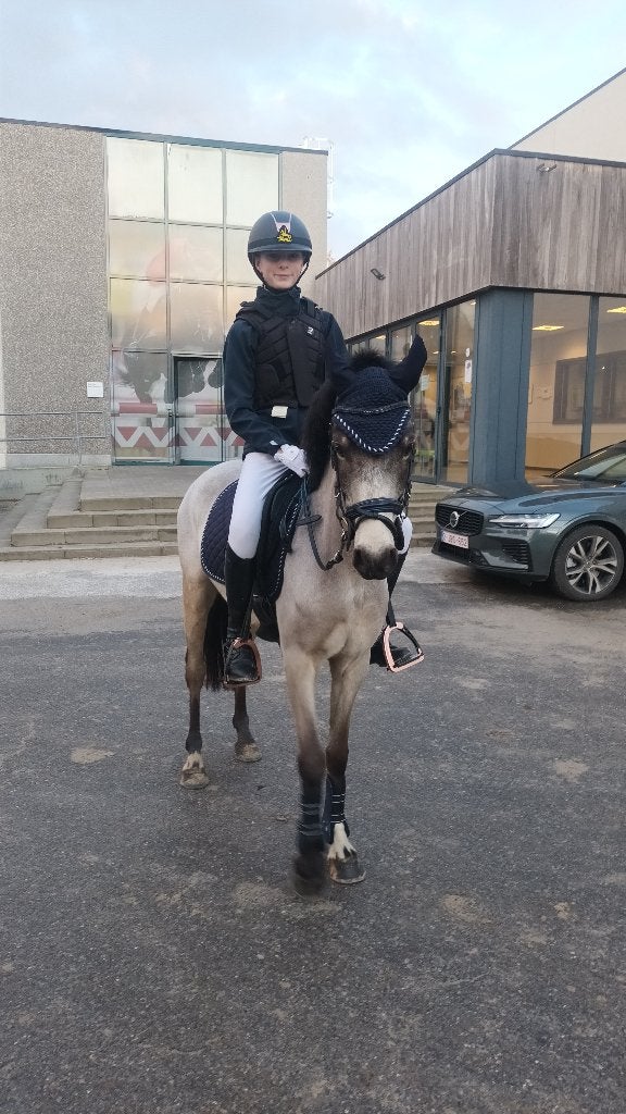 6-jarige c-pony ruin, Ruin, Springpony, 3 tot 6 jaar, C pony (1.27m tot 1.37m)