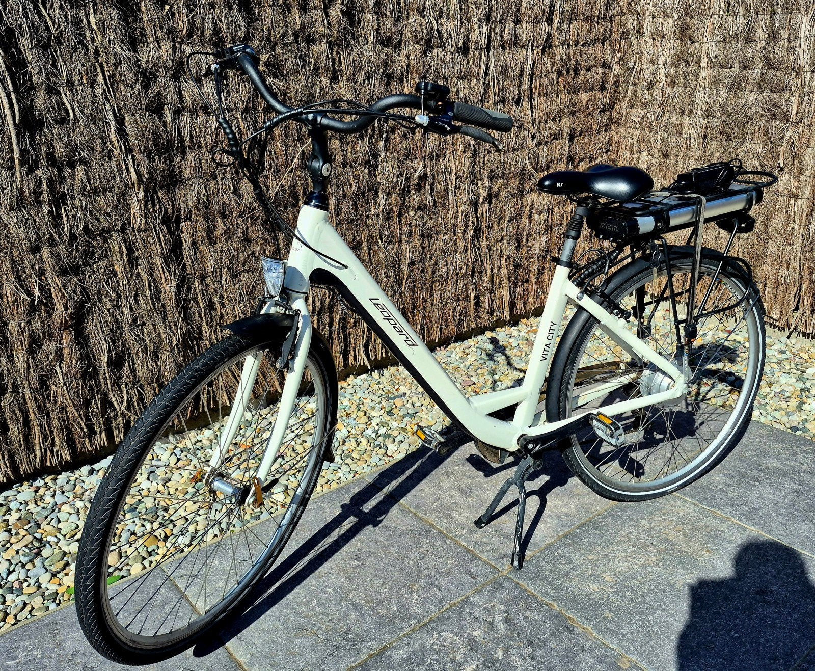 Elektrische damesfiets alles werkt perfect ., Fietsen en Brommers, Gebruikt, 47 tot 51 cm, 50 km per accu of meer, Ophalen
