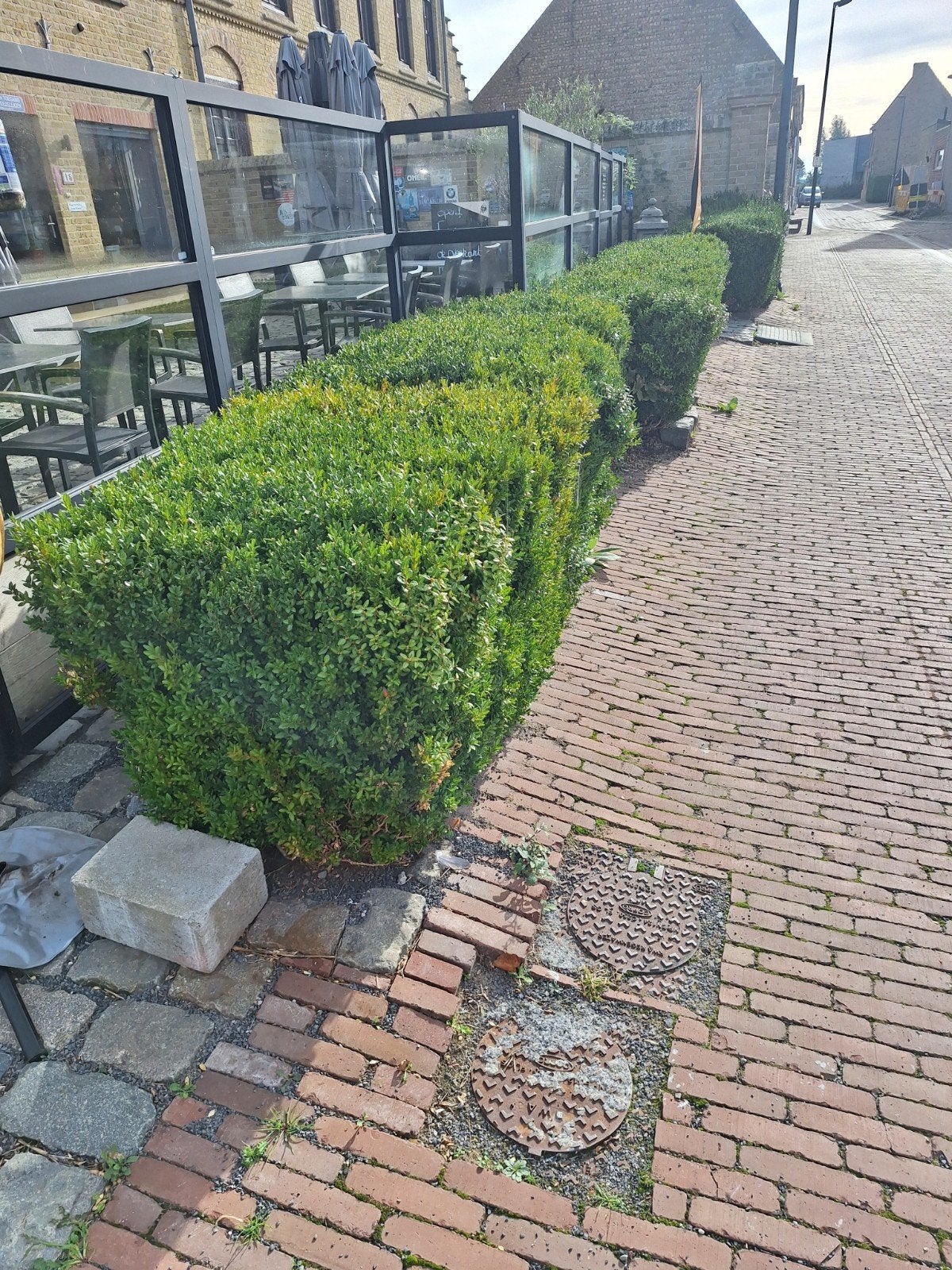 buxus gratis, Tuin en Terras, Ophalen