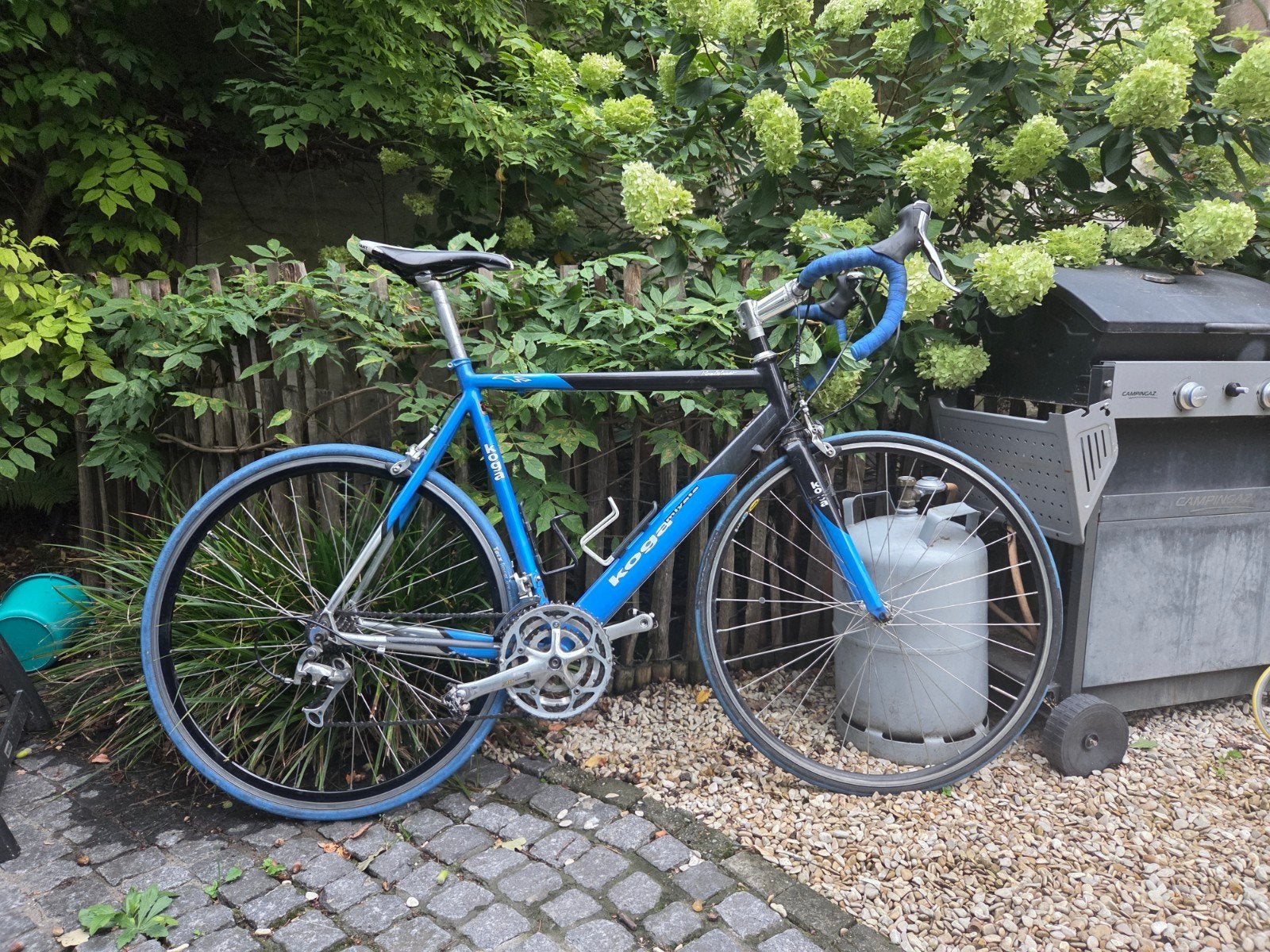 Koga Miyata racefiets koersfiets, kadermaat 58, Fietsen en Brommers, Fietsen | Racefietsen, Ophalen, Koga Miyata