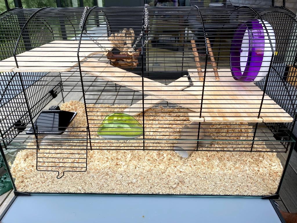 Happy hamster starterkit, Dieren en Toebehoren, Ophalen, Gebruikt