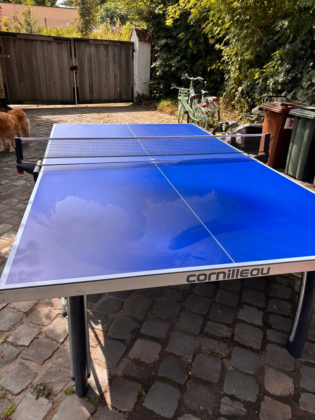 Ping pong tafel, Sport en Fitness, Tafeltennis, Ophalen, Zo goed als nieuw