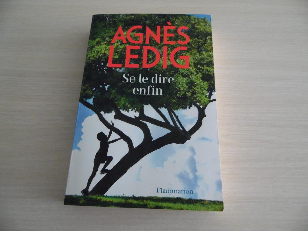 SE LE DIRE ENFIN   AGNÈS LEDIG, Europa overig, Ophalen of Verzenden, Zo goed als nieuw, Agnès Ledig