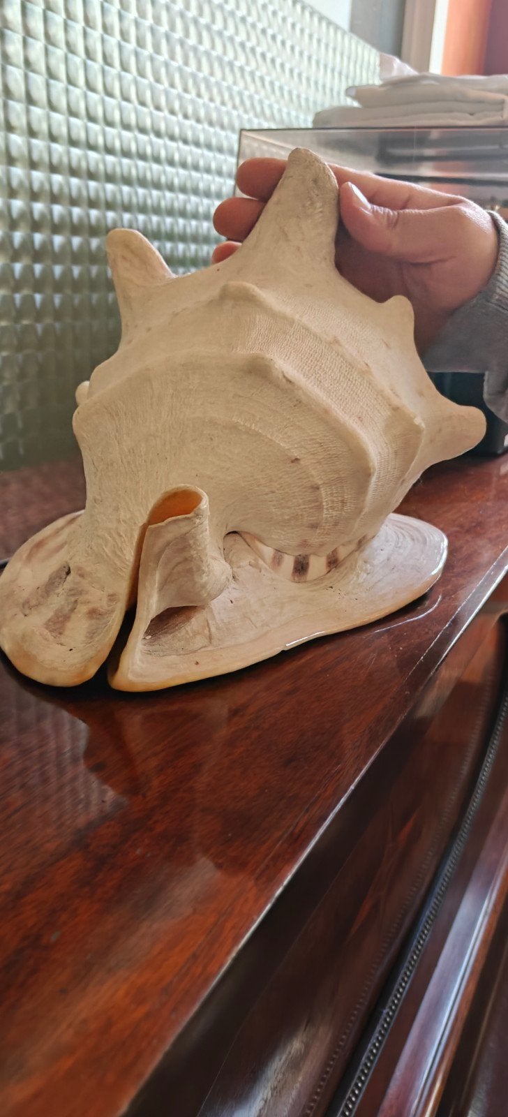 coque décorative, Enlèvement