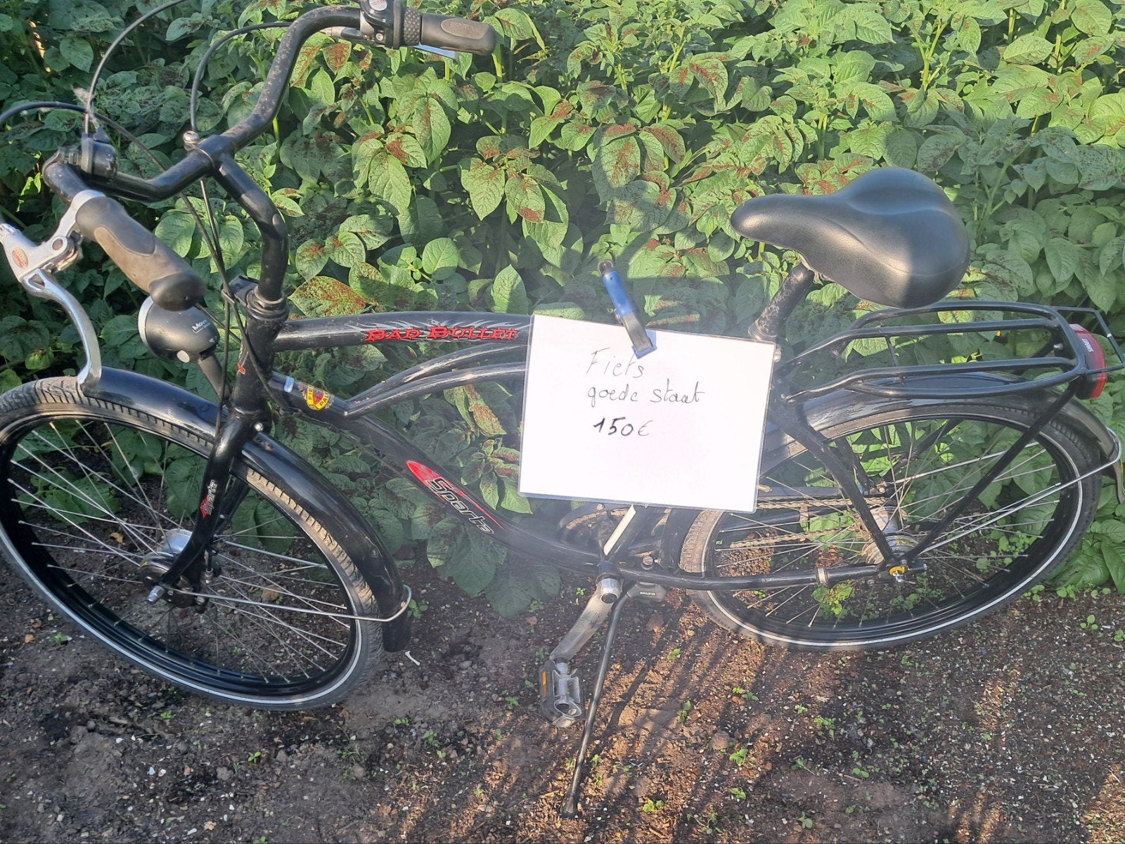 Fiets Sparta, Sparta, Vitesses, Frein sur jante, Enlèvement