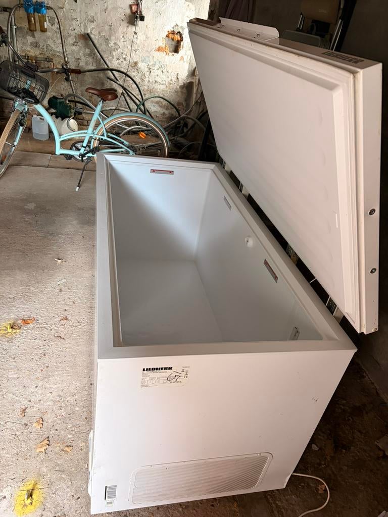 Liebherr vrieskist 572l, Elektronische apparatuur, Vriezers en Diepvrieskisten, Ophalen, Zo goed als nieuw, Vrieskist