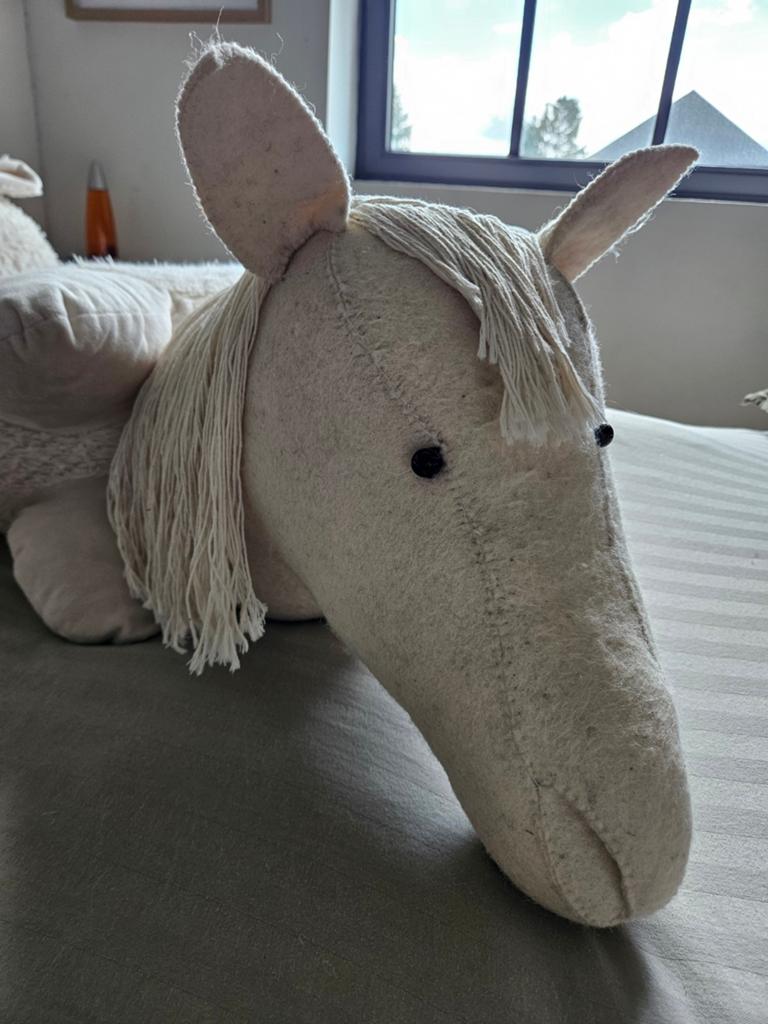 Crèche pour animaux (cheval), Enlèvement ou Envoi