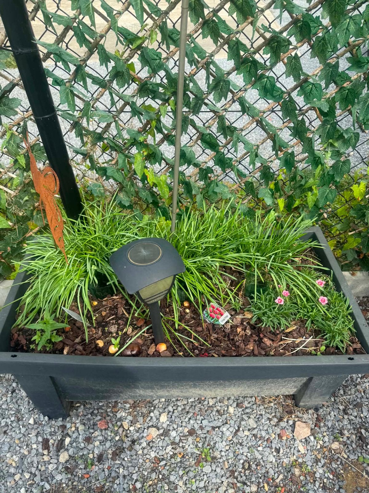 Bak met planten, Tuin en Terras, Ophalen
