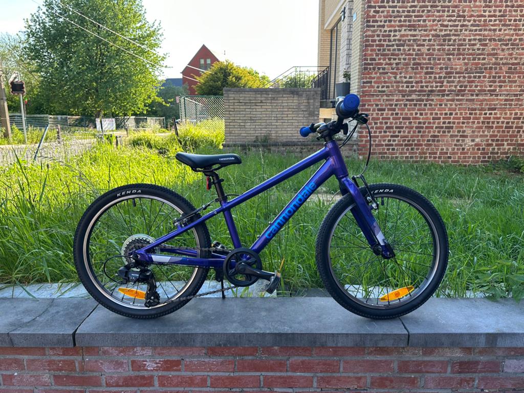 Cannondale Kids Quick 20 Meisjes 2025, Fietsen en Brommers, Ophalen, Gebruikt, Velgrem, Versnellingen