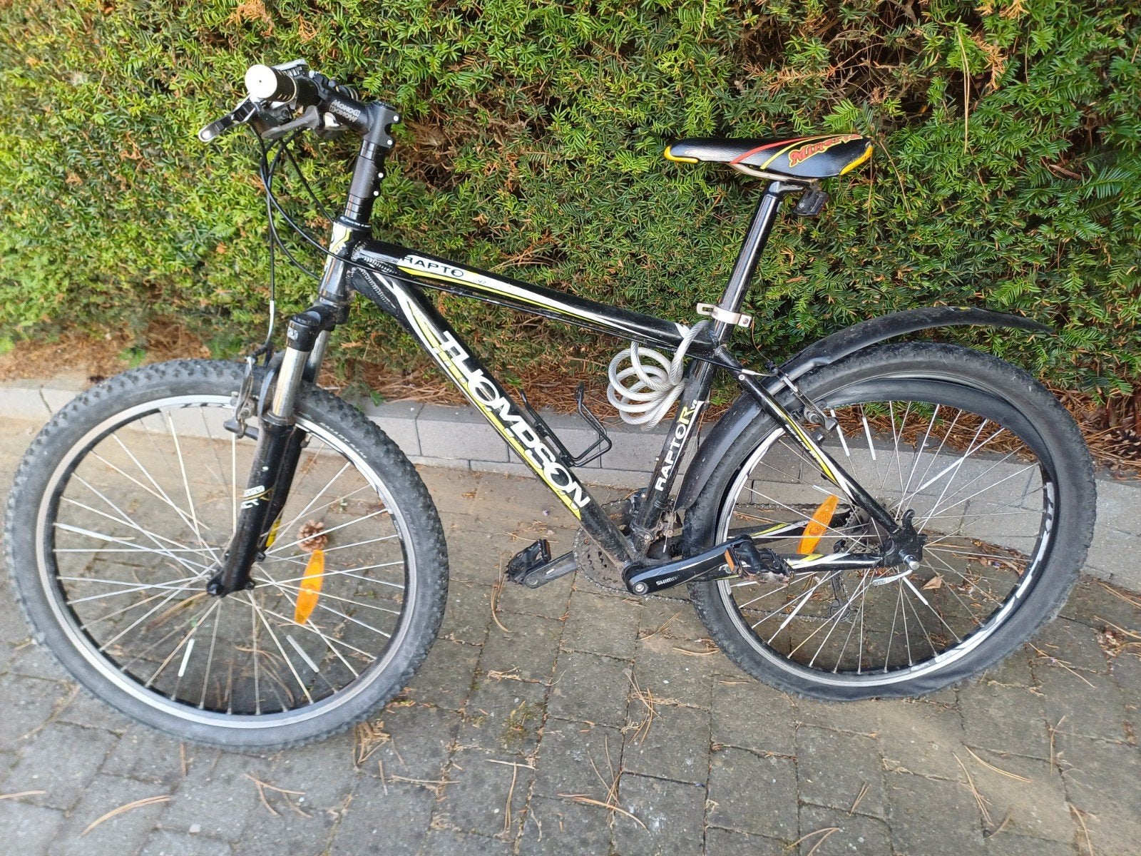 Vélo de montagne Thompson pour garçons, Vélos & Vélomoteurs, Enlèvement, Utilisé, Hommes, Autres marques