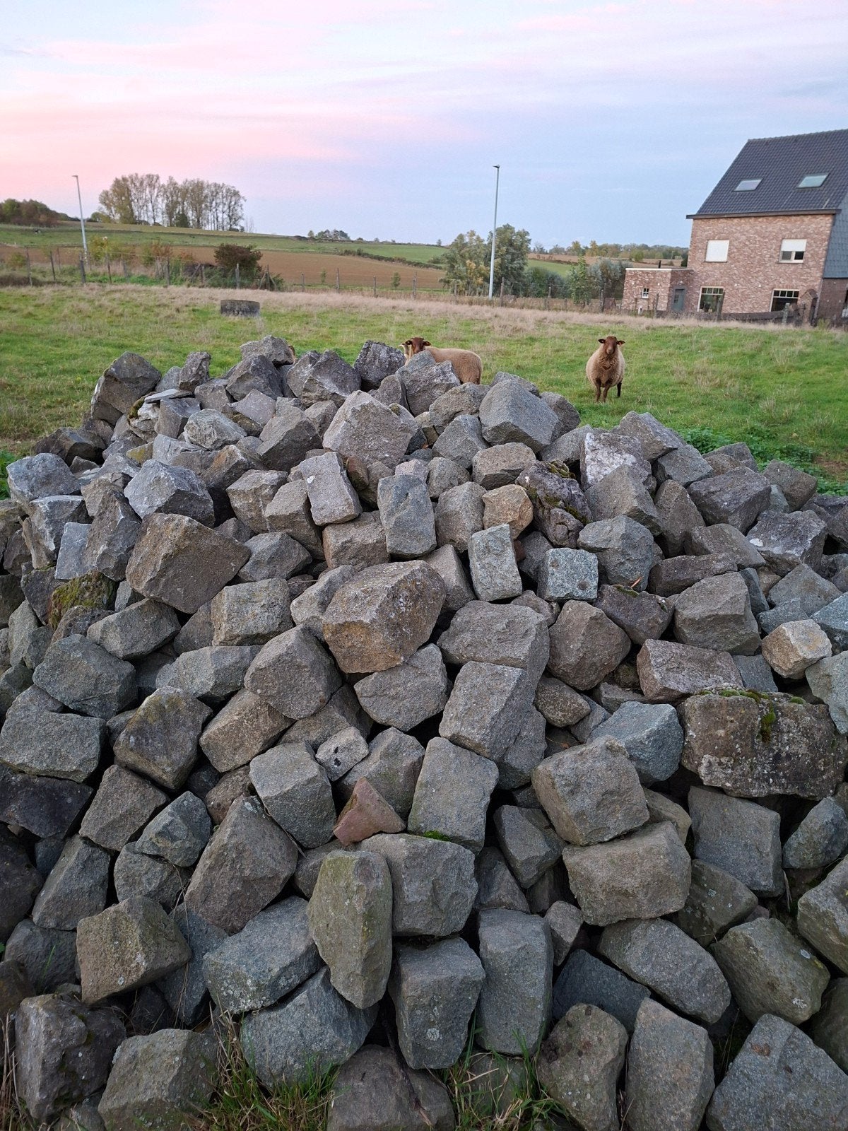 Landelijke kasseien, Tuin en Terras, Ophalen, Overige materialen, Gebruikt, Overige typen