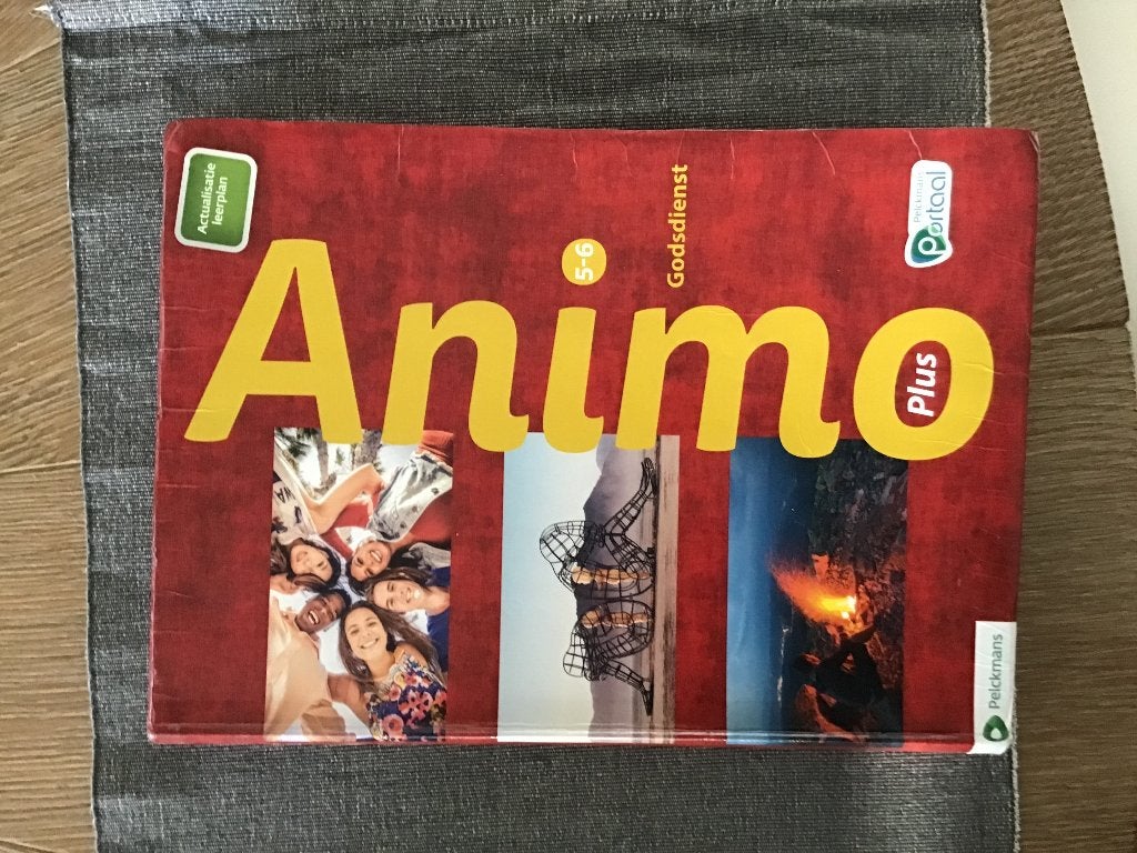 Animo 5-6 godsdienst, Boeken, Schoolboeken, ASO, Godsdienst en Levensbeschouwing, Pelckmans, Ophalen