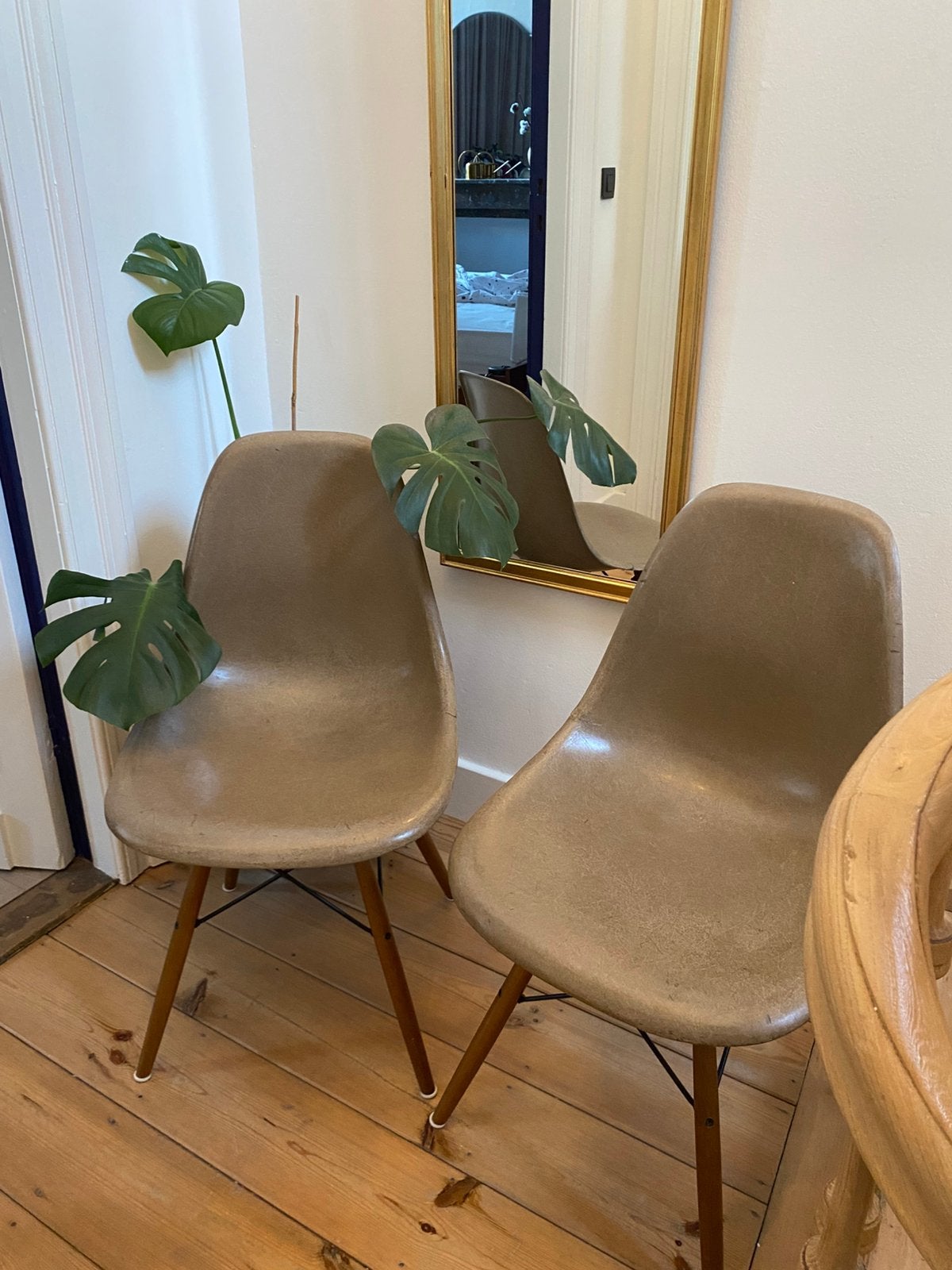 Fibre de verre Eames by Herman Miller DSW, Autres couleurs, Midcentury modern, Deux, Enlèvement