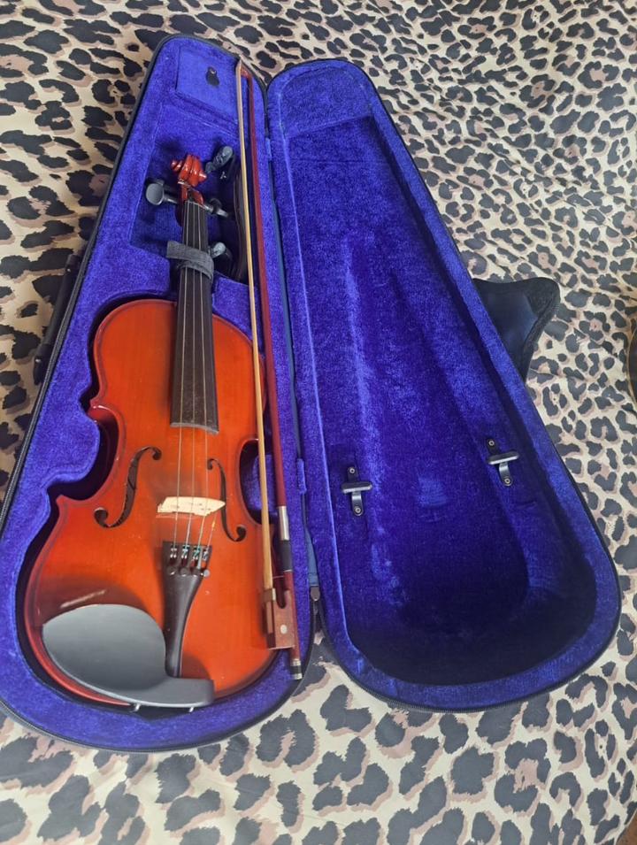 Leonardo 4/4 viool, Muziek en Instrumenten, Ophalen, Viool, Zo goed als nieuw, 4/4-viool