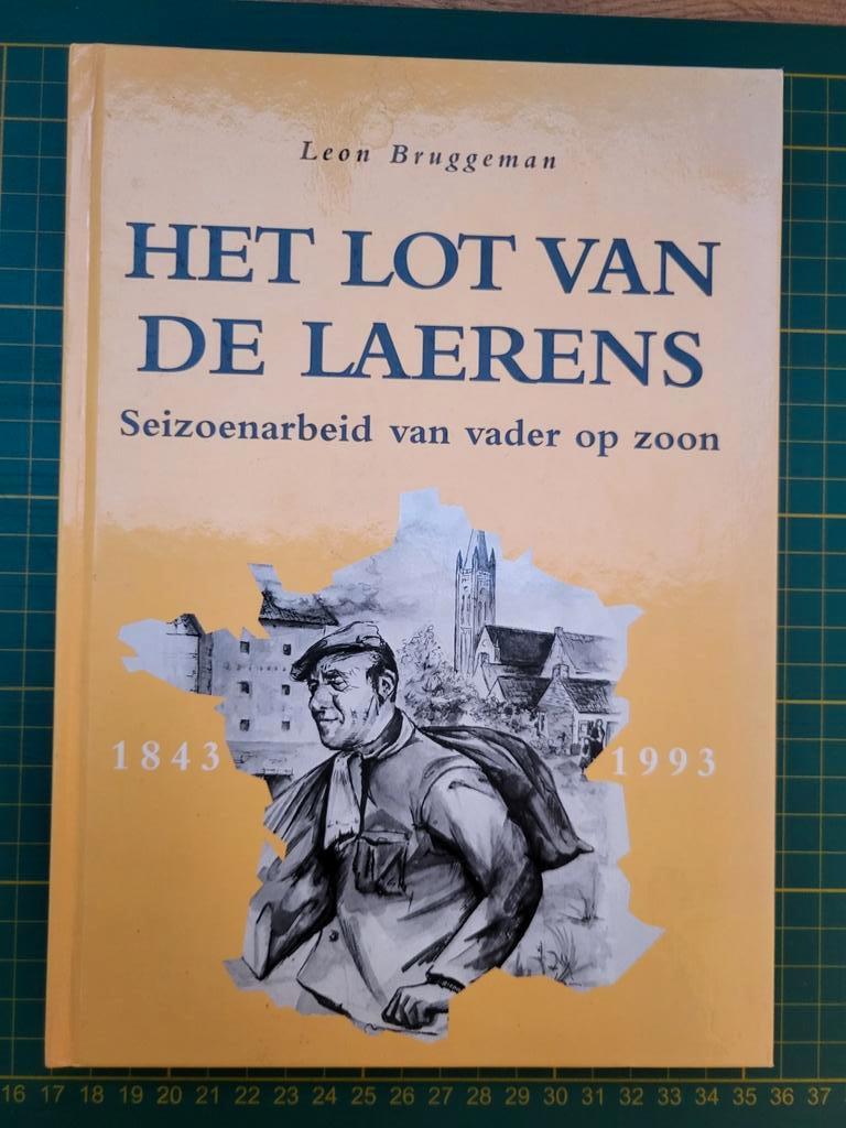 Leon Bruggeman - Het lot van de Laerens, Boeken, Ophalen of Verzenden, Zo goed als nieuw